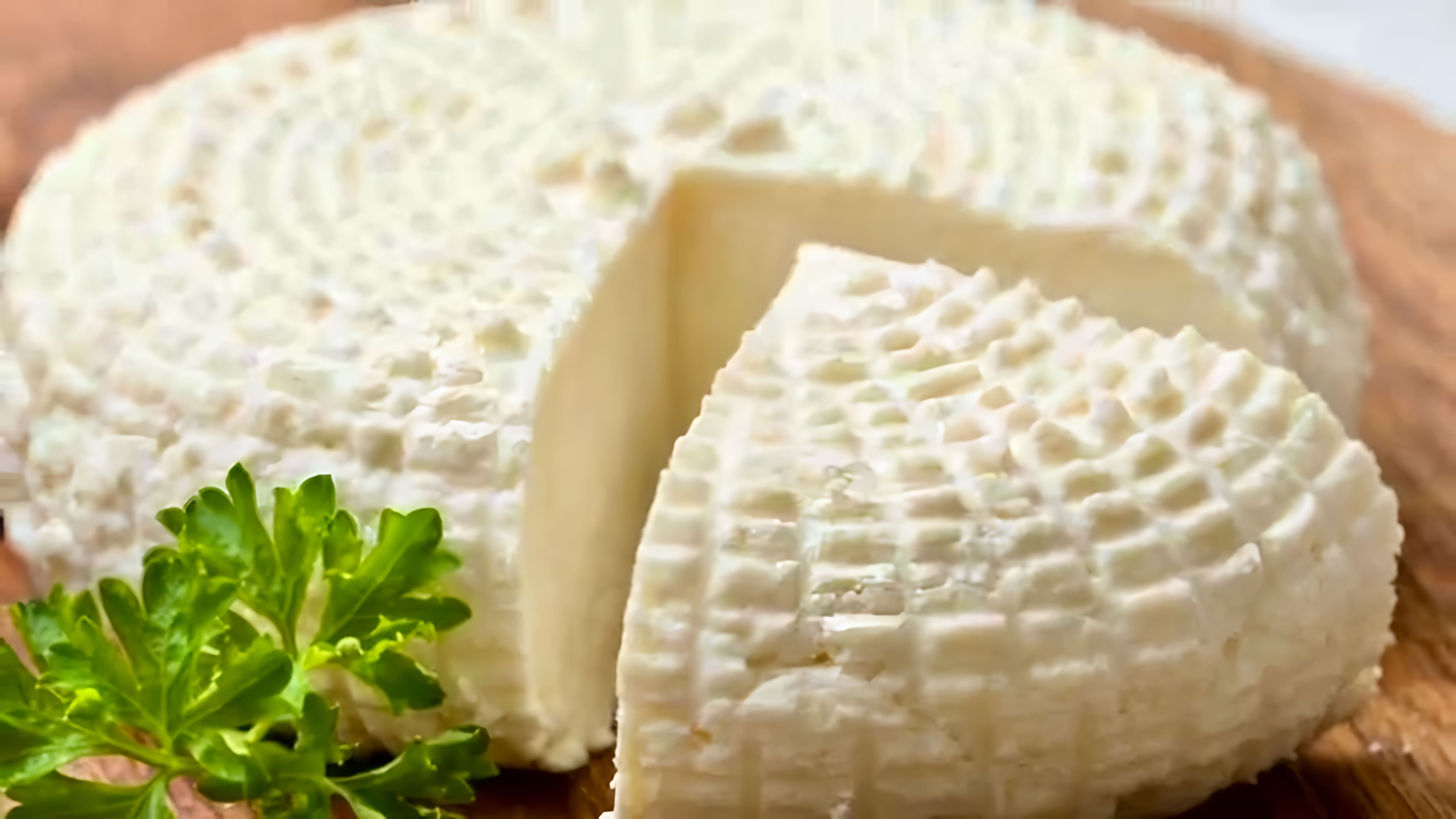 В этом видео-ролике рассказывается о том, как приготовить адыгейский сыр в домашних условиях