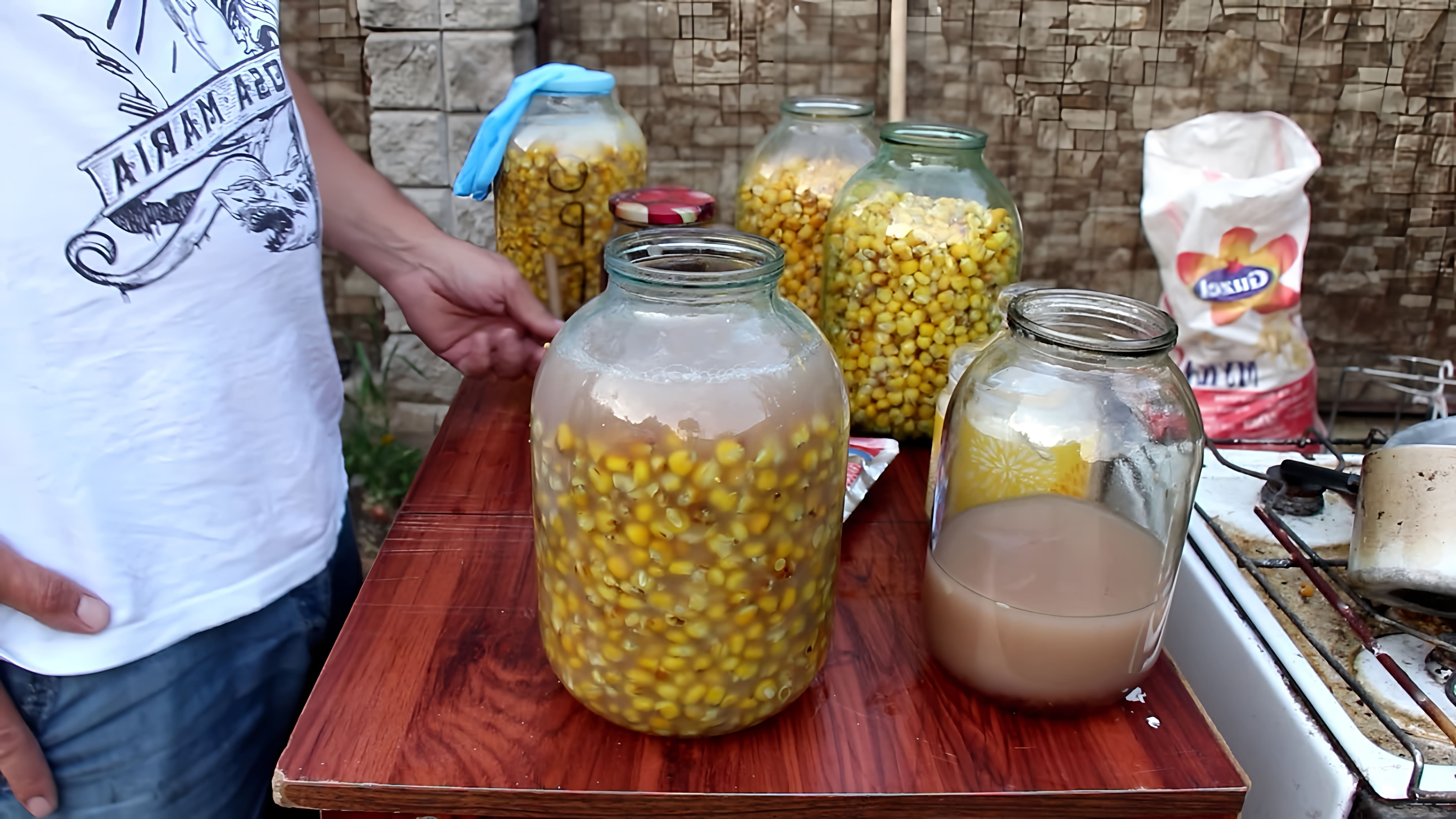 В этом видео демонстрируется процесс приготовления ферментированной кукурузы, которую также называют "пьяной"