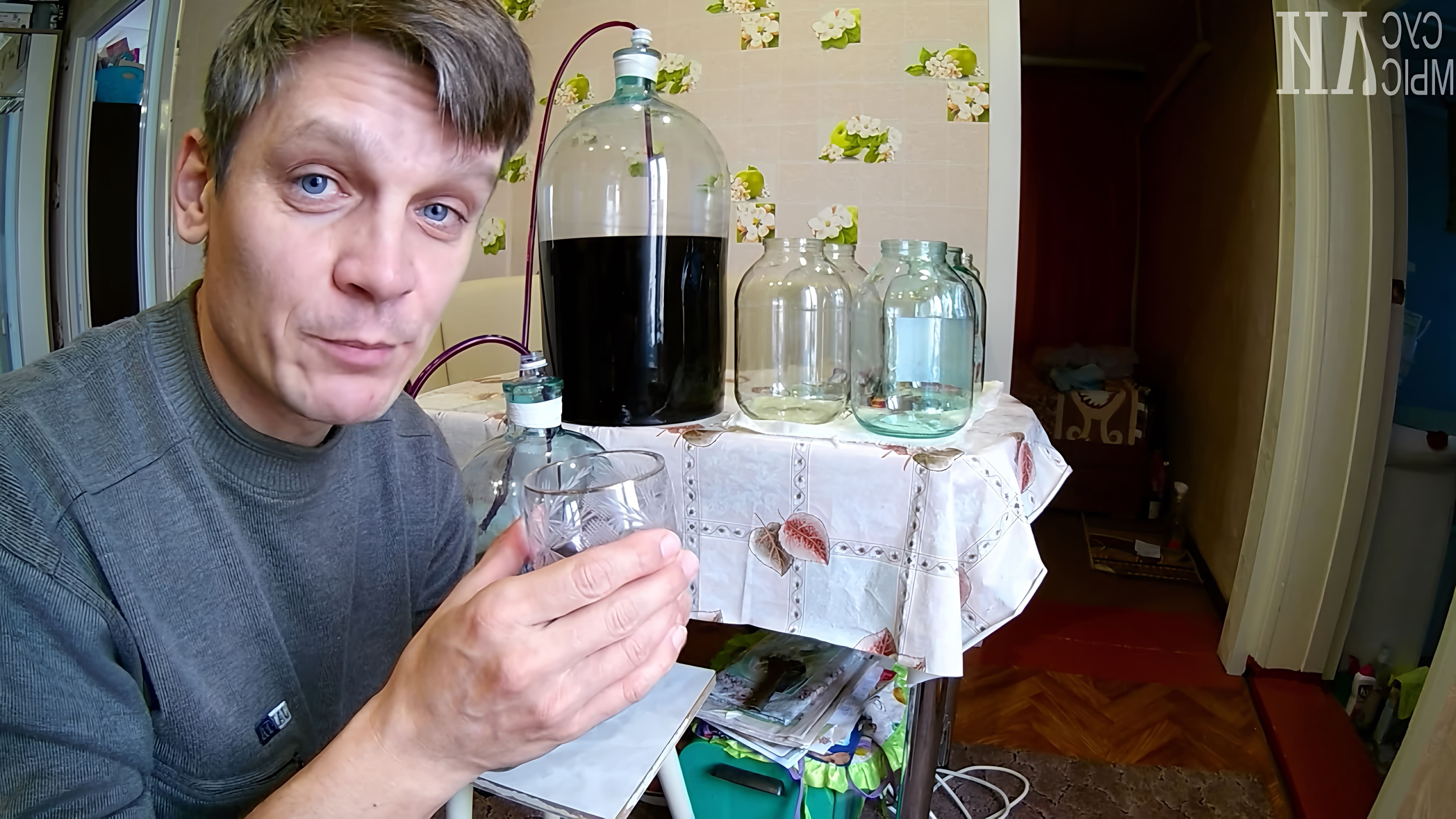Видео: Домашнее вино из черноплодной рябины / на хранение