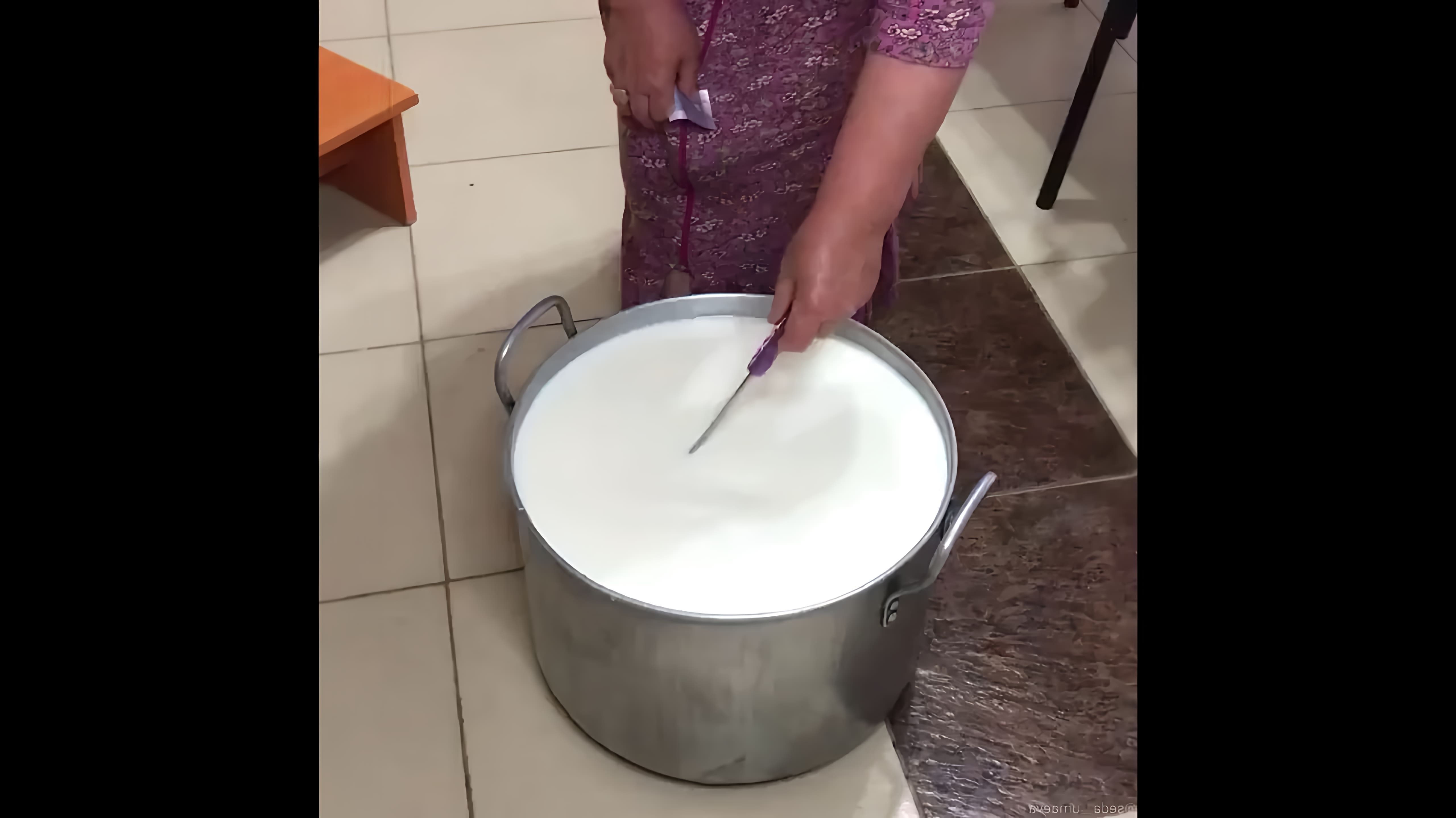 В этом видео демонстрируется процесс приготовления сыра брынза из молока и пепсина