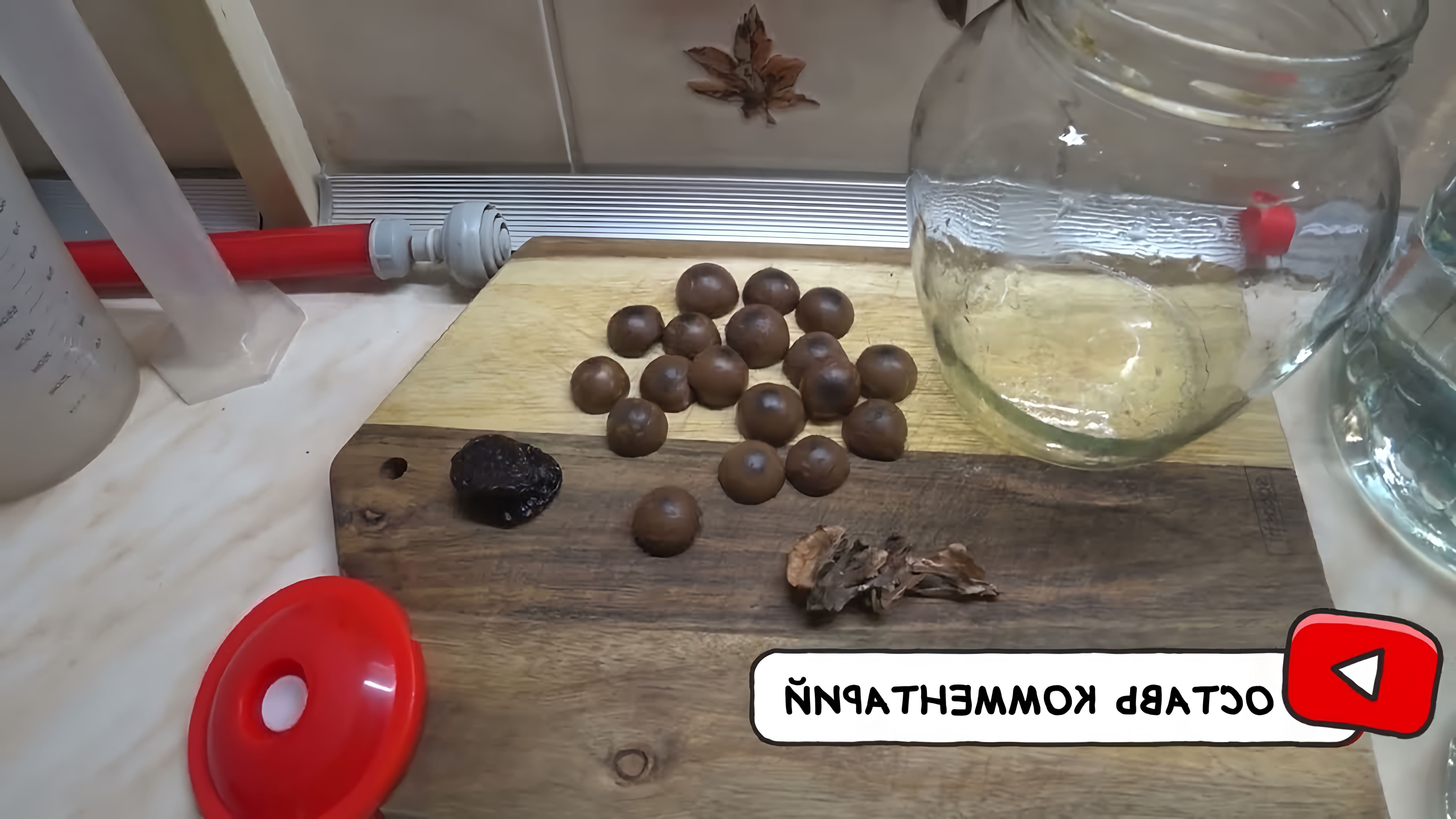 В этом видео демонстрируется процесс приготовления настойки "Макадамия" с использованием скорлупы ореха макадамии