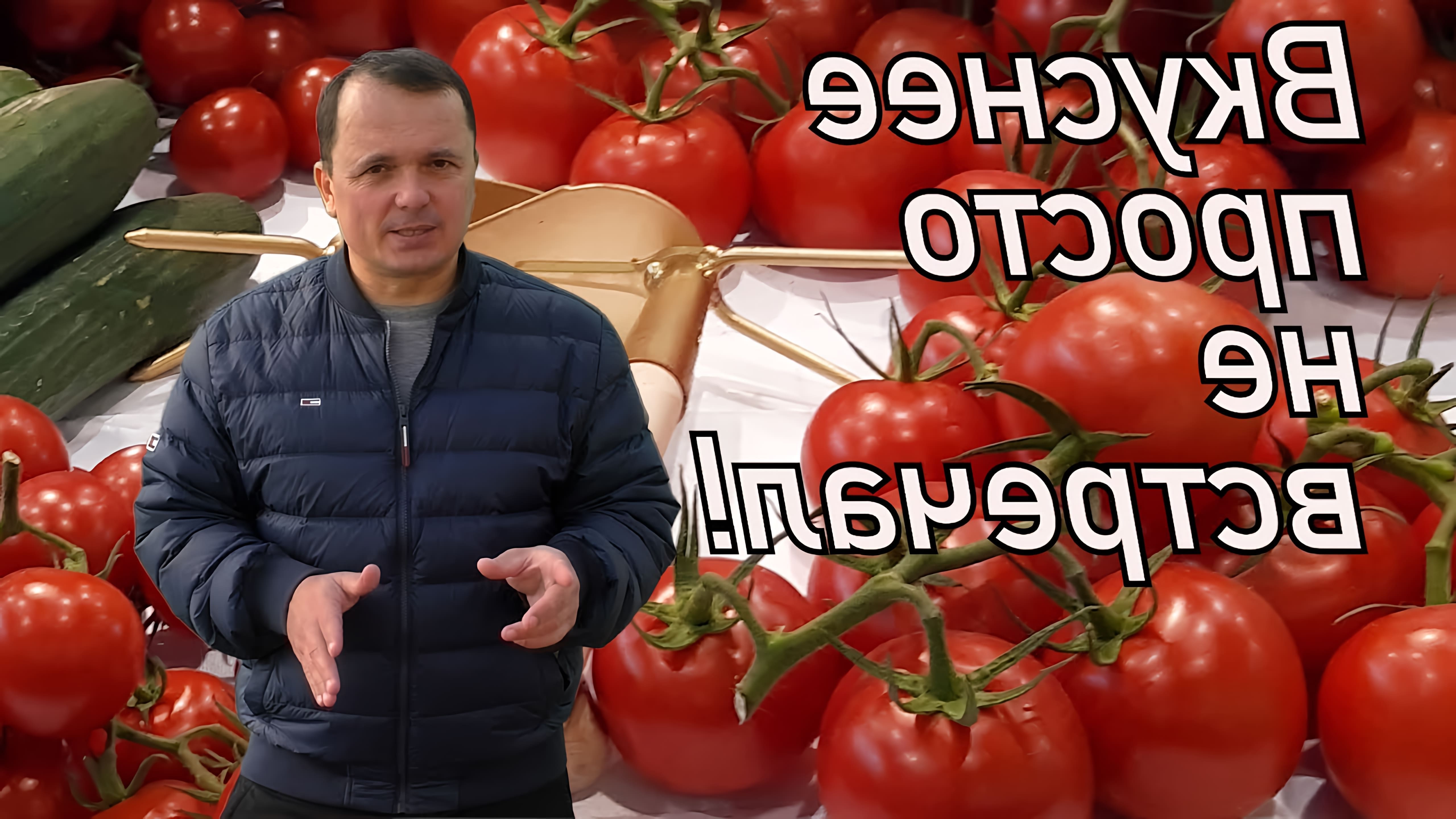 В данном видео рассказывается о лучших сортах томатов для салатов и томатного сока