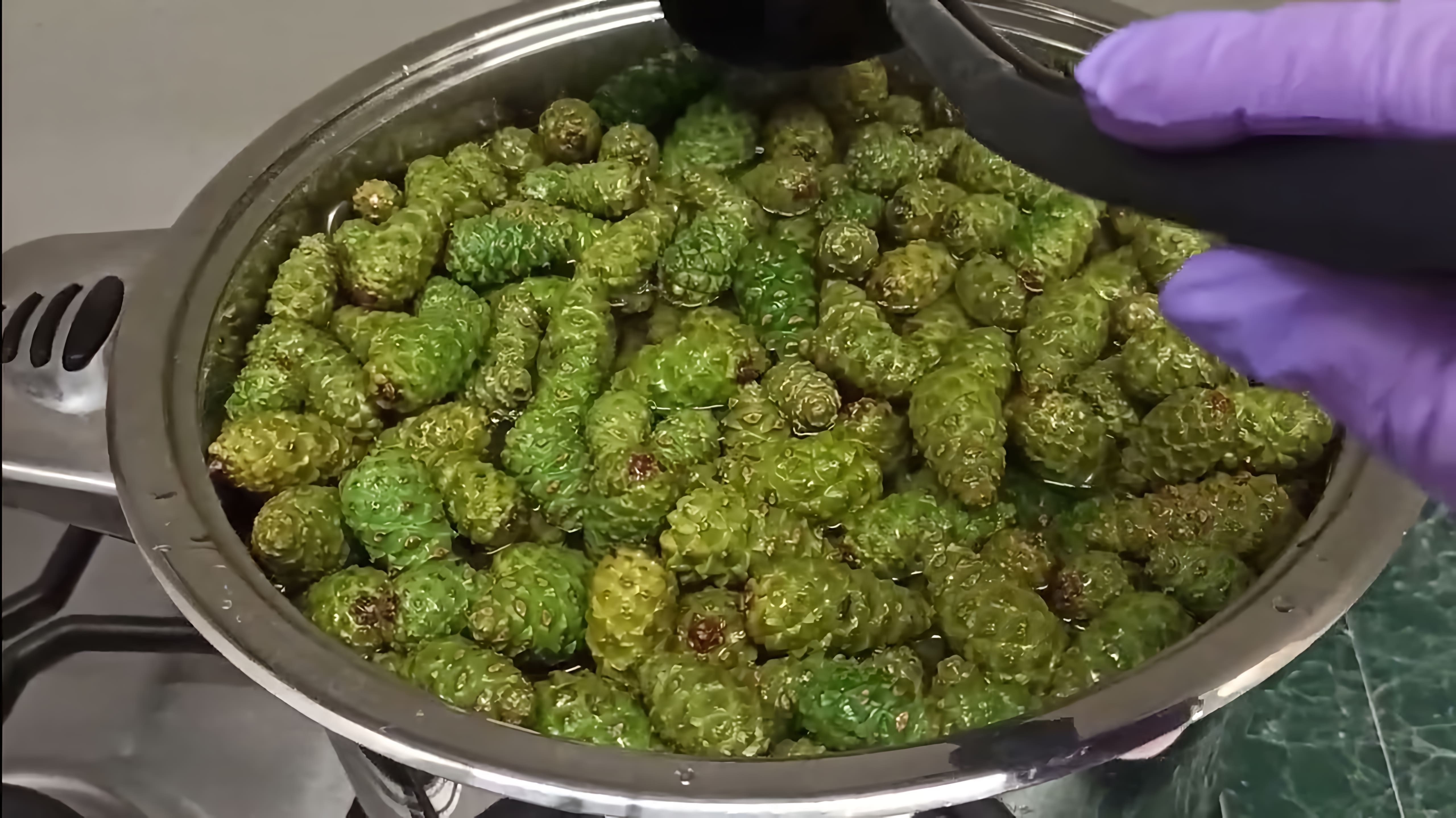 В этом видео демонстрируется процесс приготовления варенья из сосновых шишек