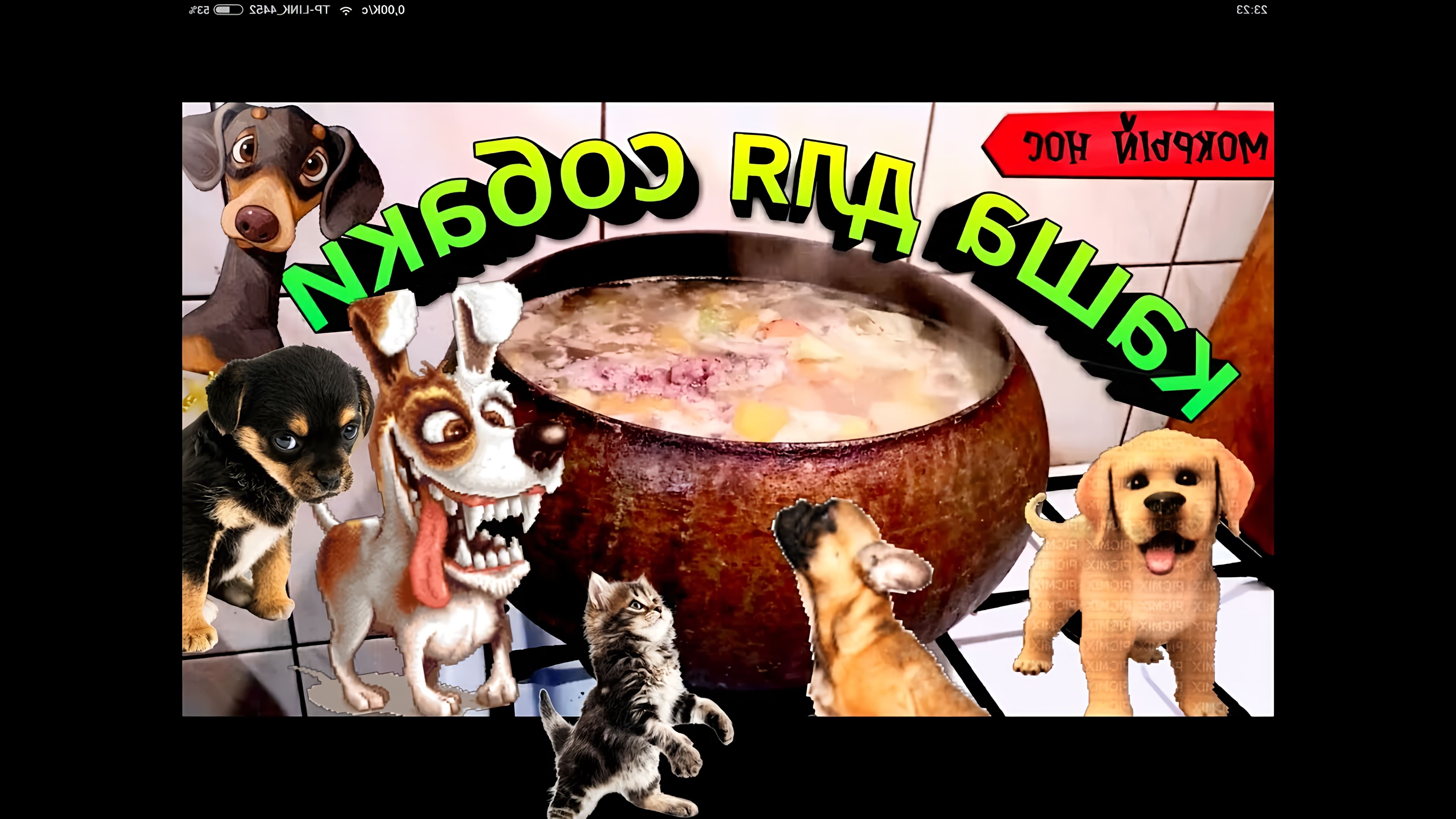 В этом видео рассказывается о приготовлении каши "Здоровье" для собак