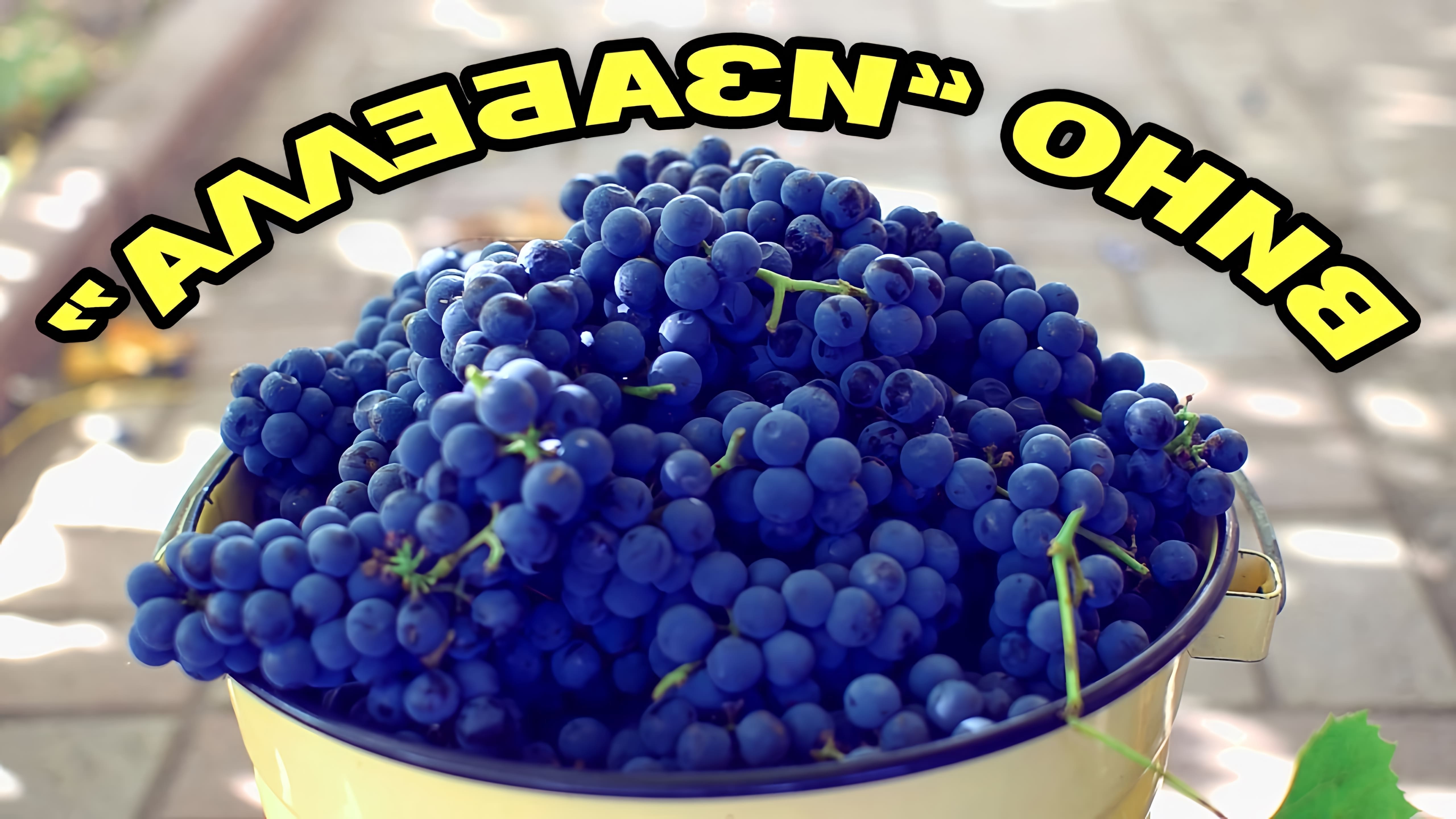 В этом видео демонстрируется процесс приготовления красного вина из винограда "Изабелла"