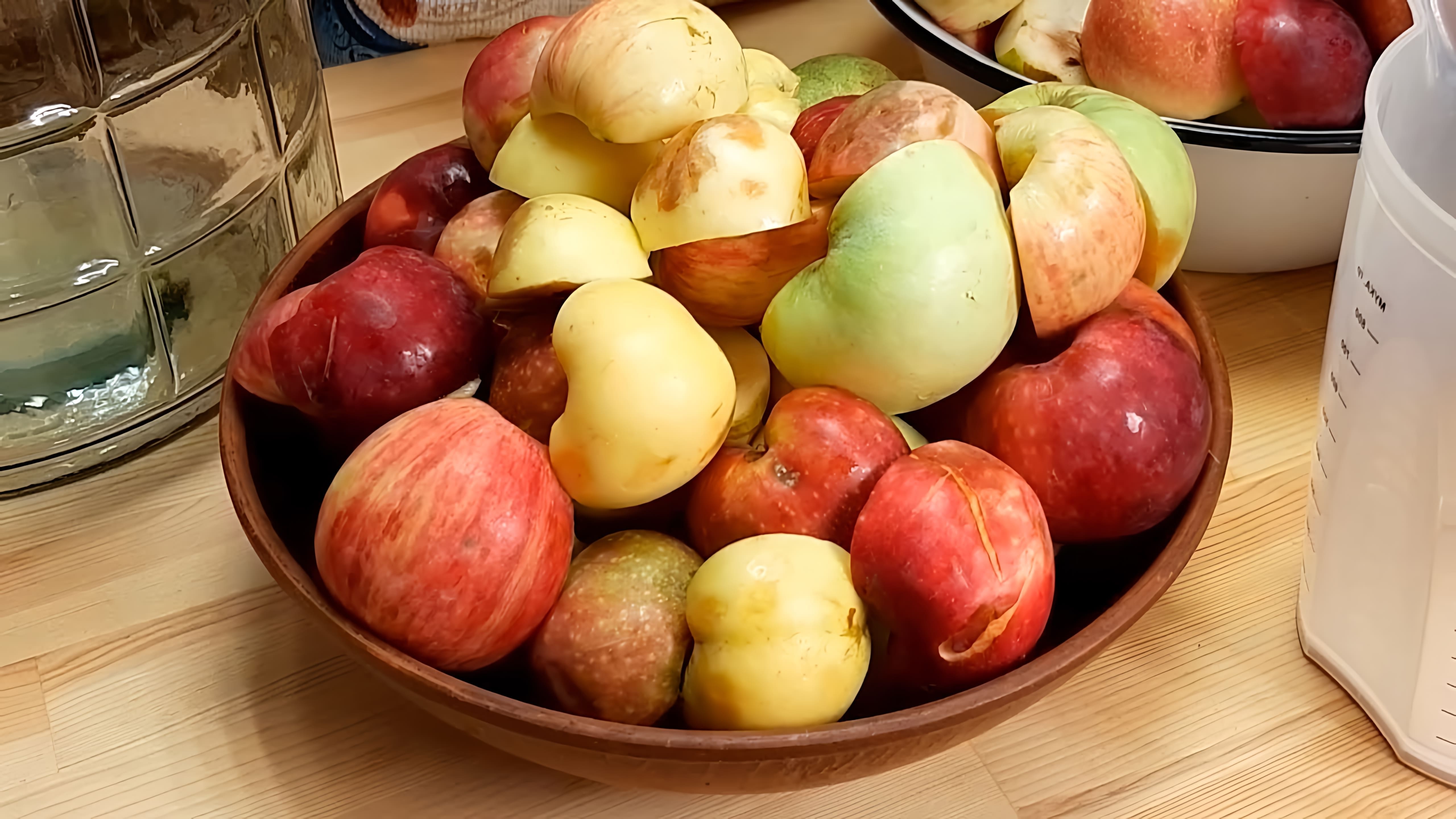 В этом видео демонстрируется процесс приготовления сидра из яблок в домашних условиях