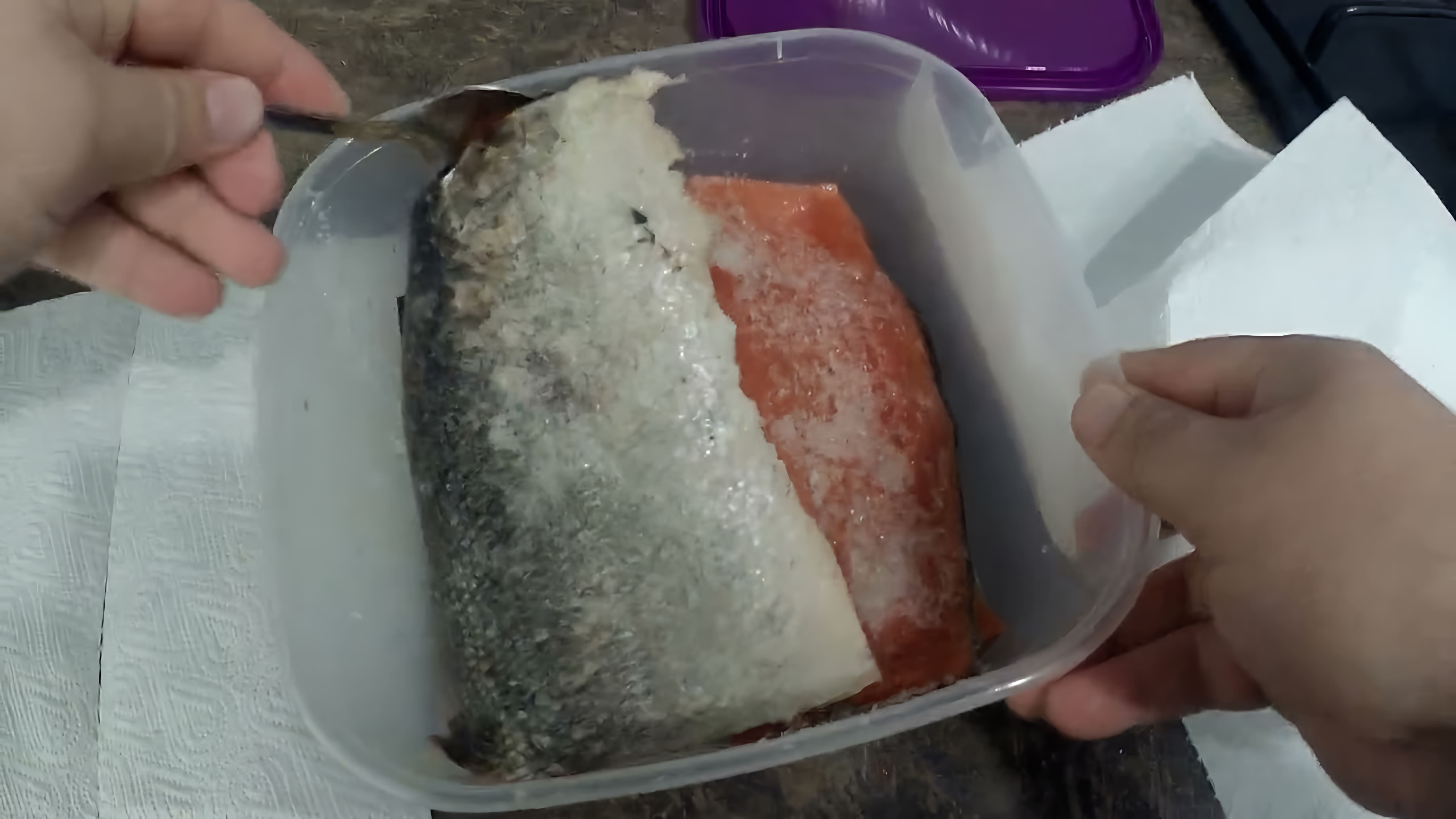 Видео как посолить и сохранить кету (красную рыбу) для длительного хранения