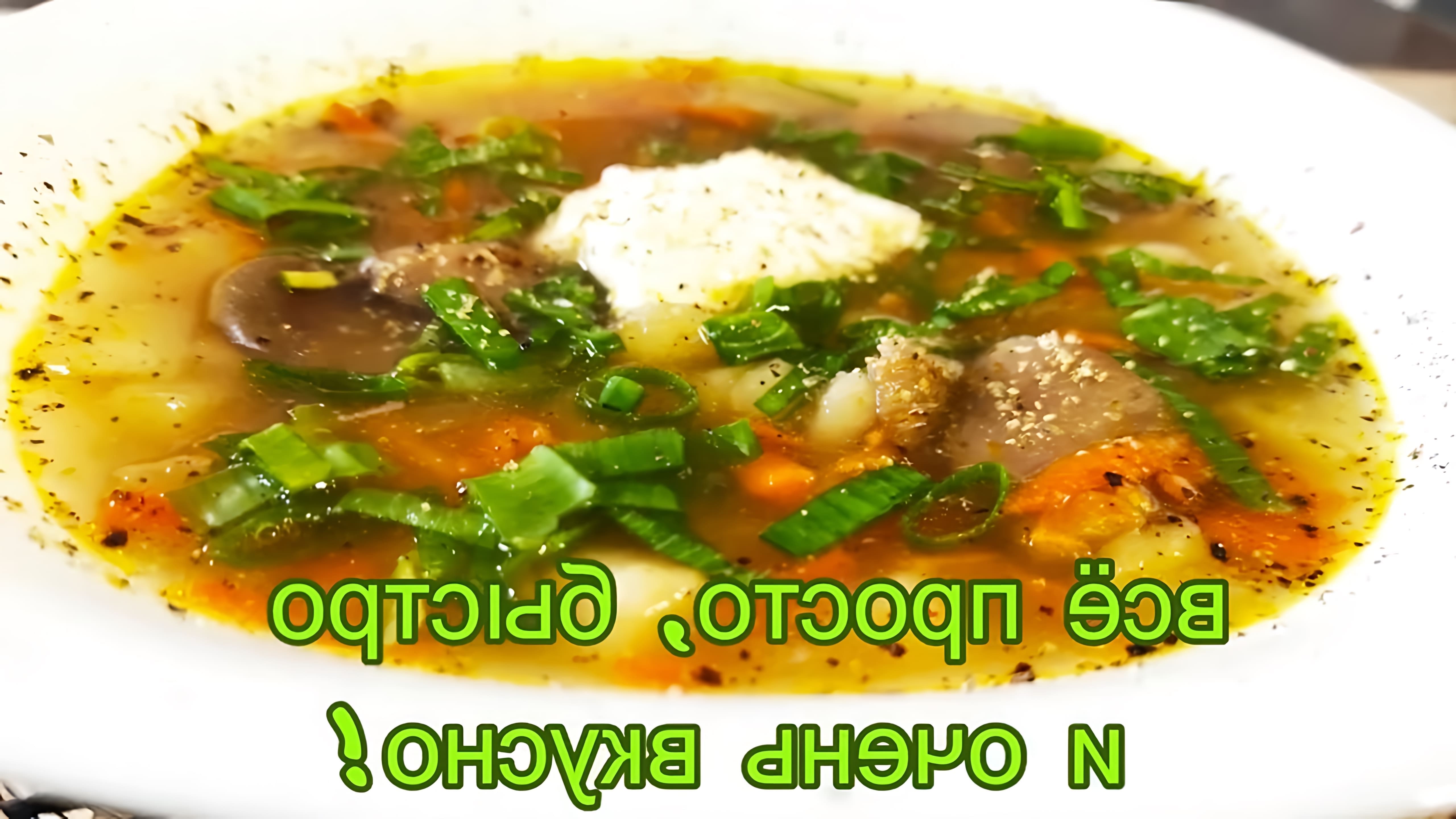 В этом видео-ролике будет показан самый простой и вкусный рецепт грибного супа из сыроежек