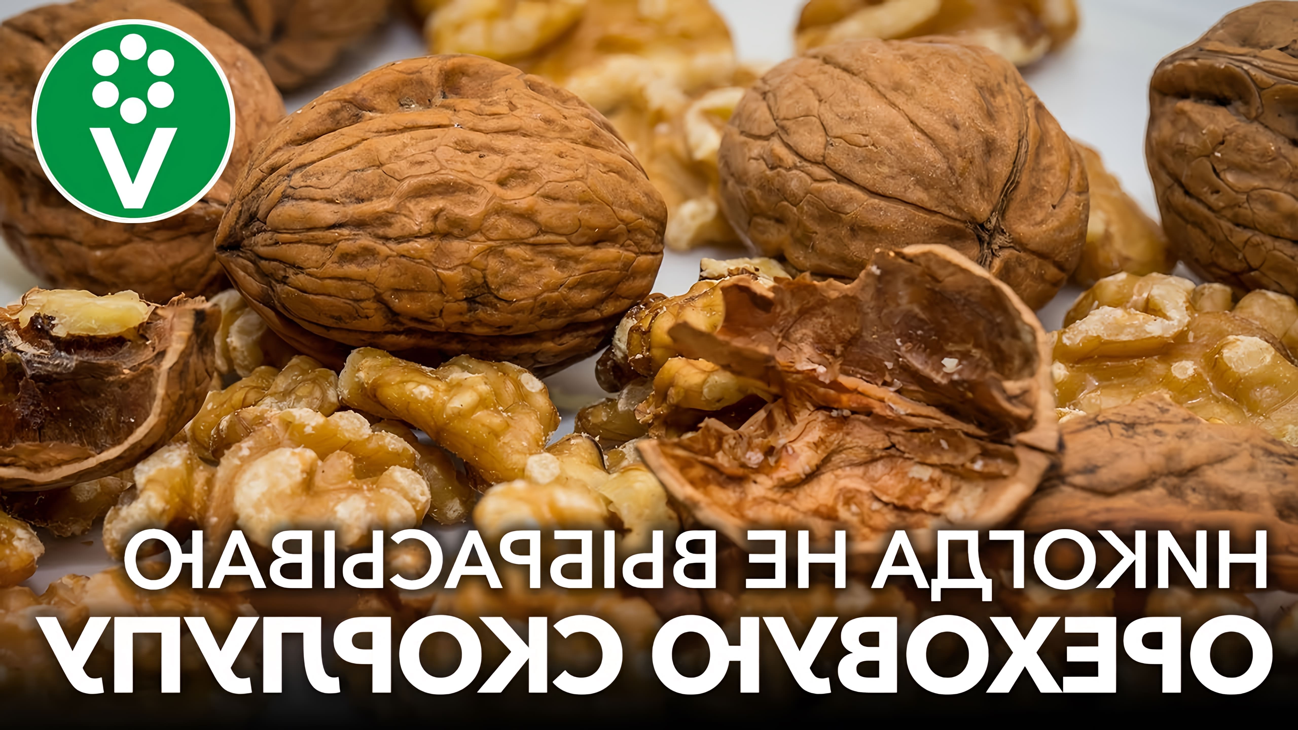 В этом видео рассказывается о полезных свойствах скорлупы грецкого ореха