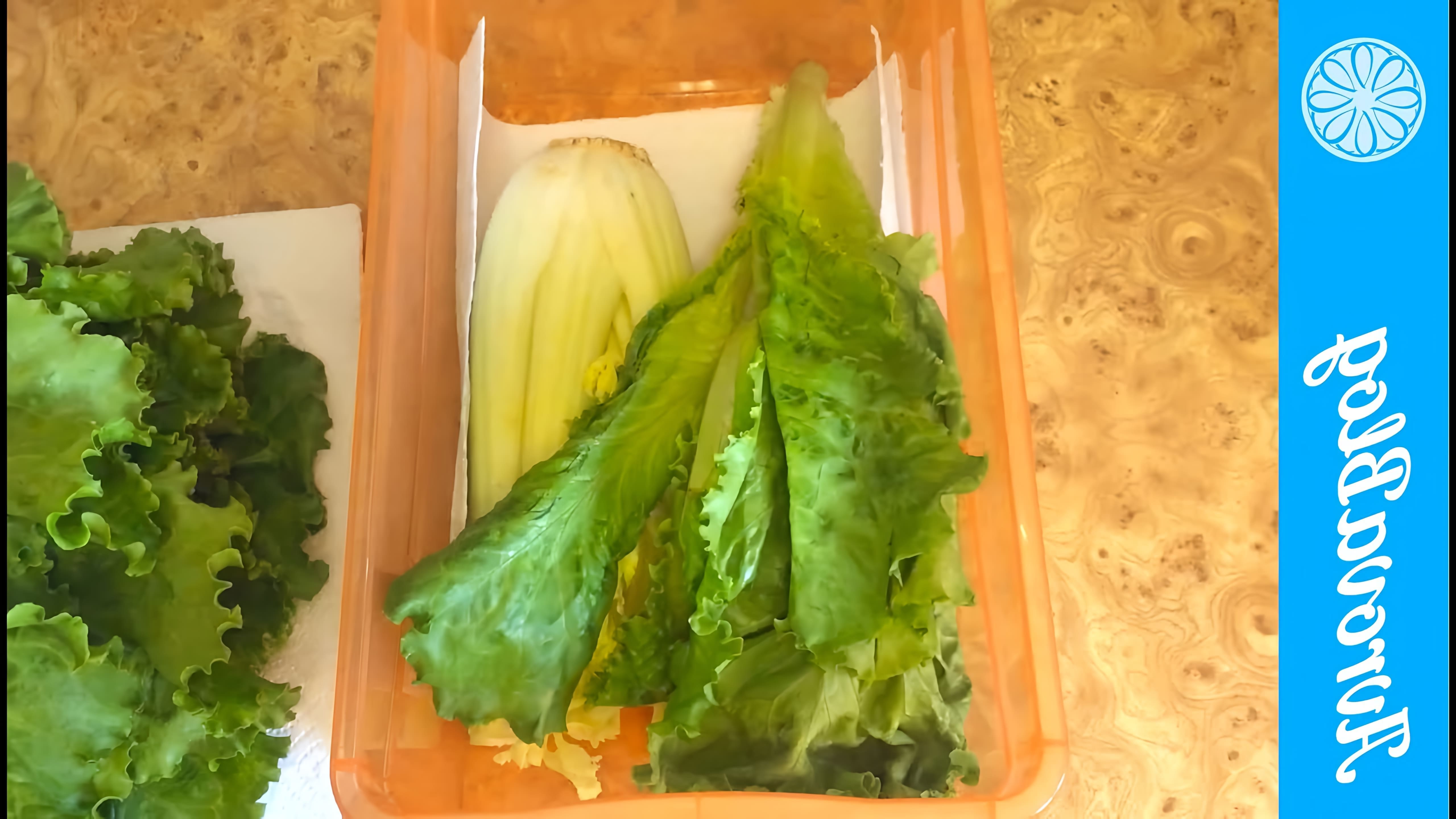 В этом видео демонстрируется, как хранить листья салата и стебли сельдерея в холодильнике