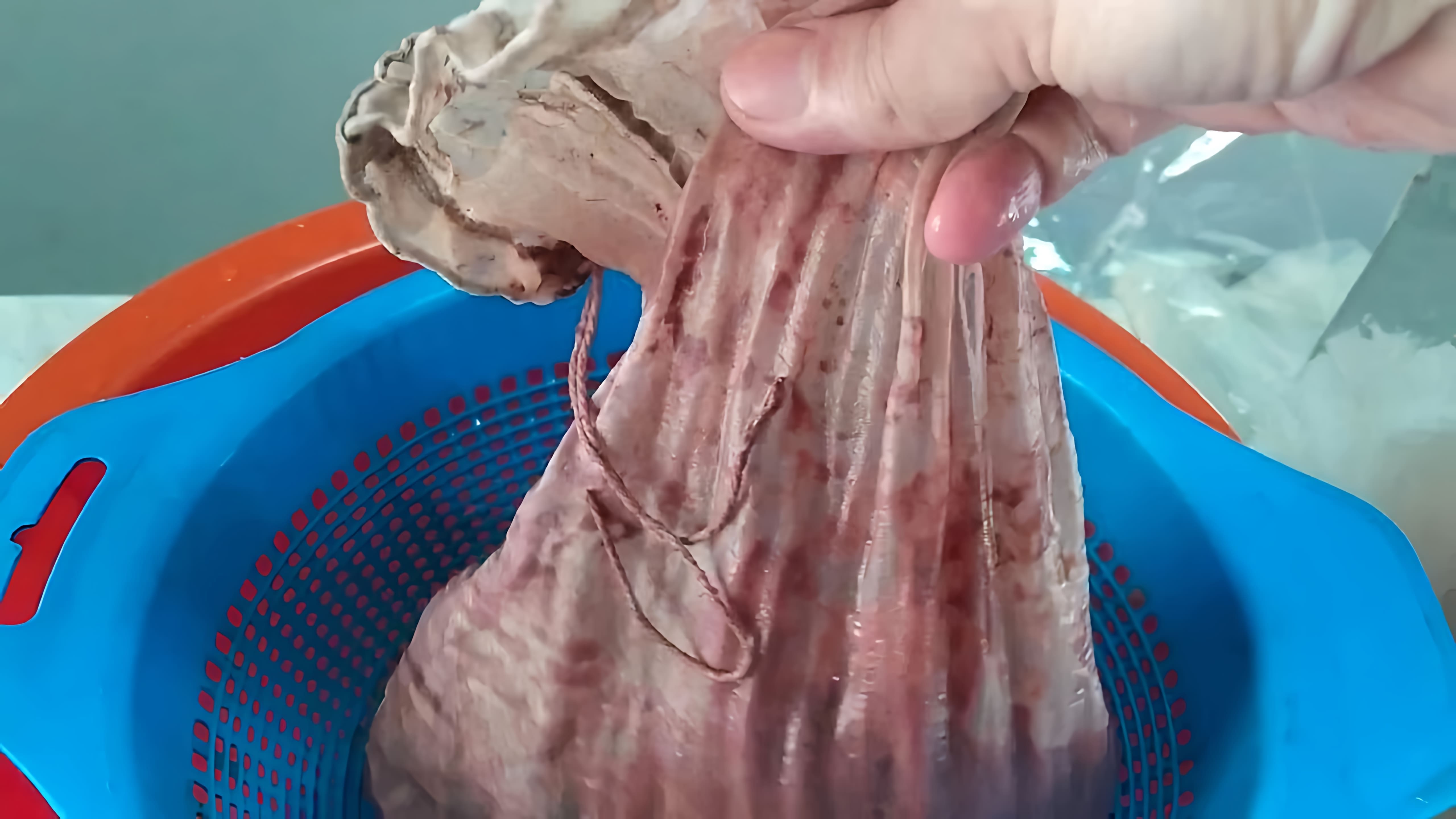 В данном видео демонстрируется процесс изготовления виноградного уксуса