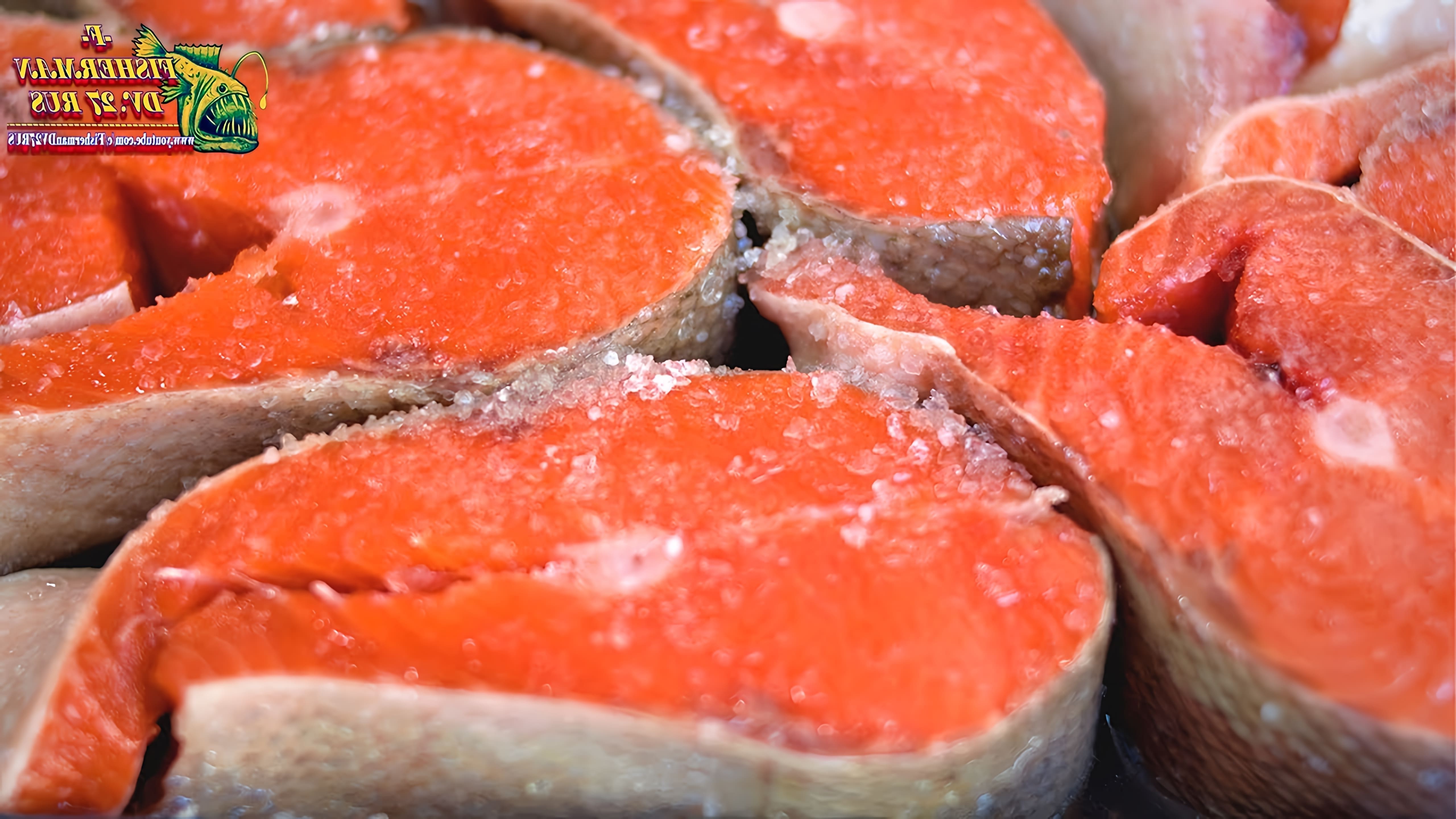 В данном видео демонстрируется процесс засолки лосося стейками по рецепту от Fisherman dv