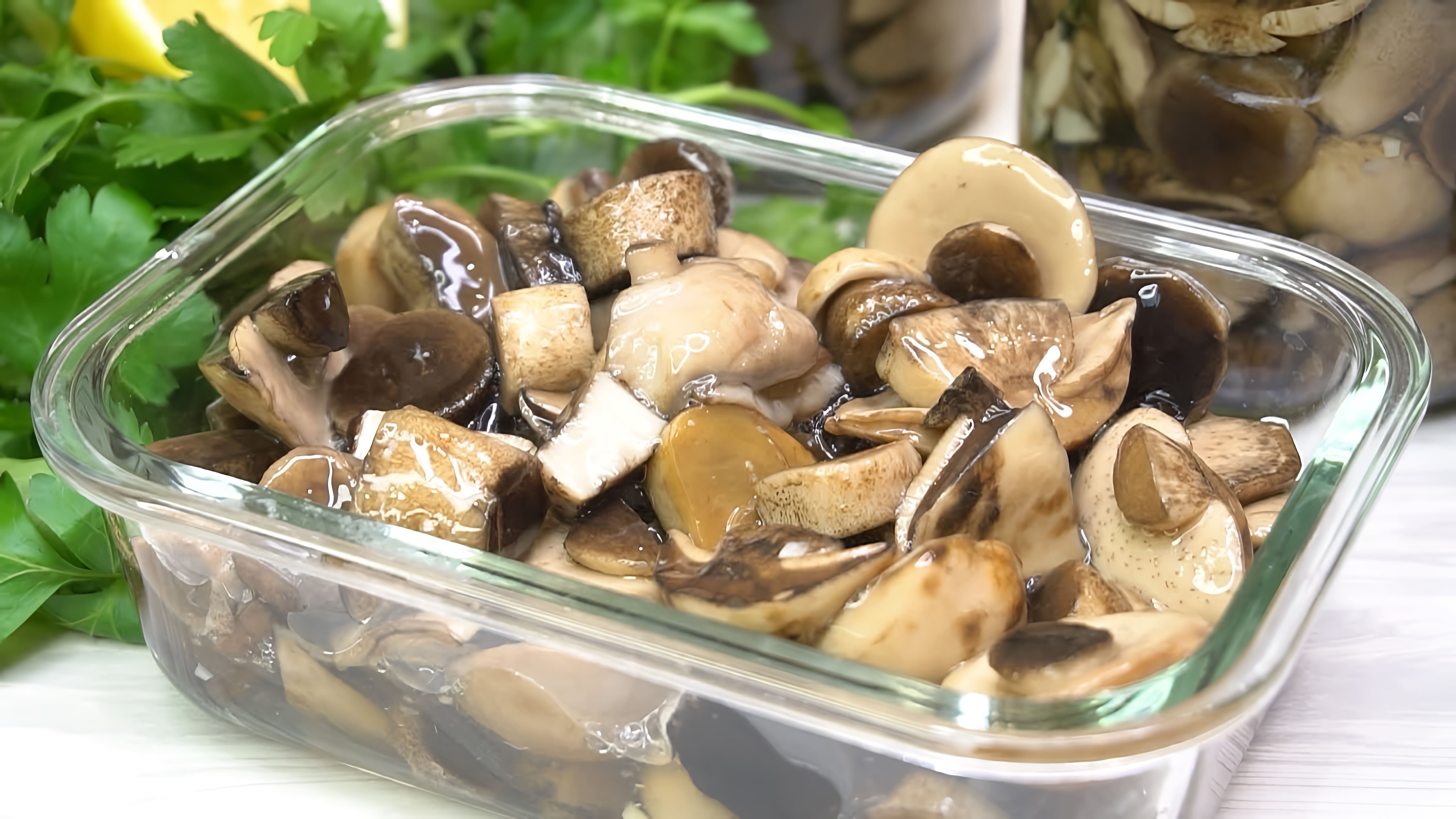 Самые вкусные Маринованные грибы на зиму, они как свежие! Знакомая медик раскрыла все секреты! 