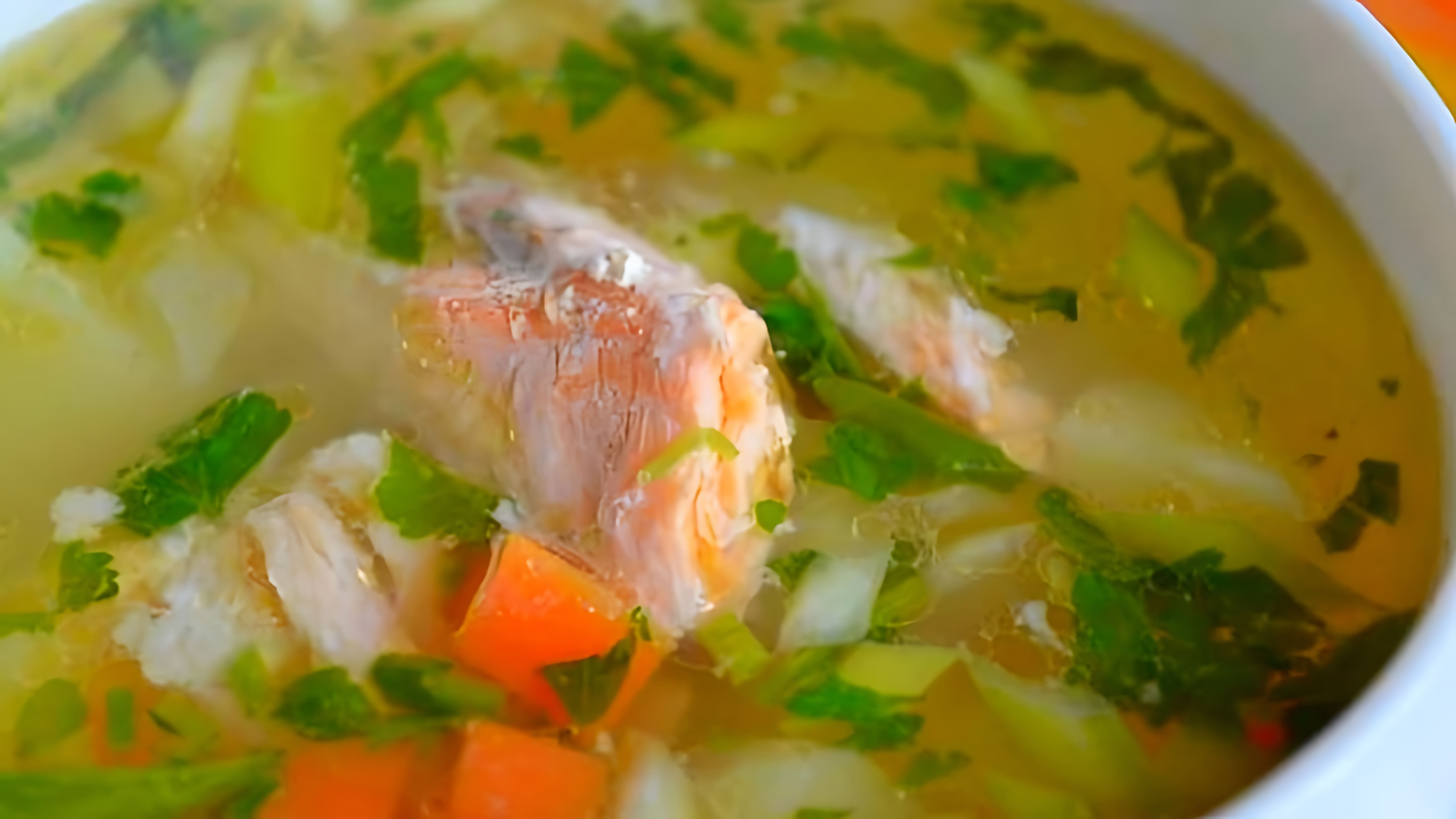 В этом видео демонстрируется процесс приготовления рыбного супа из хребтов лосося