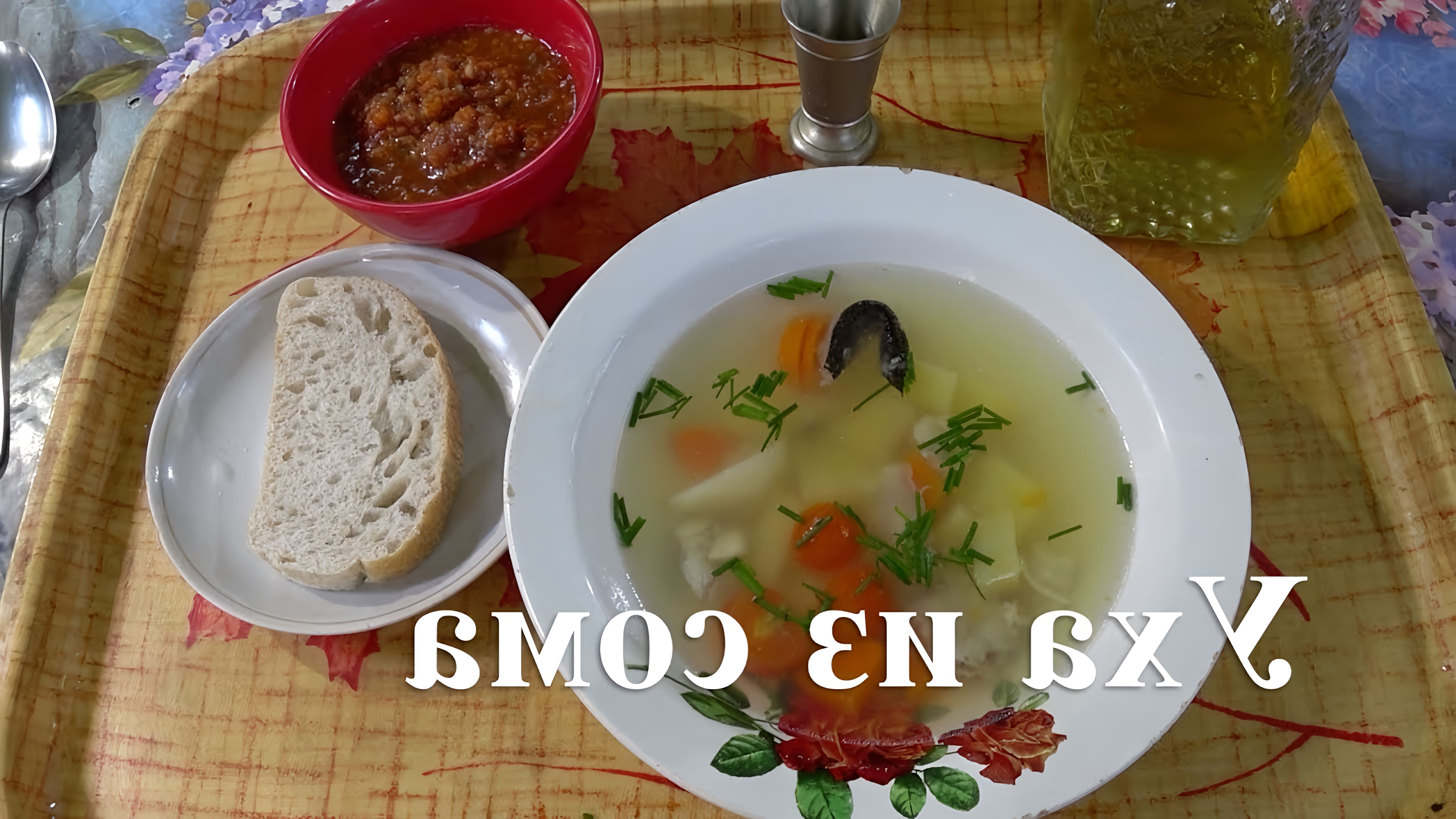 В этом видео демонстрируется процесс приготовления ухи из сома на босяцкой кухне