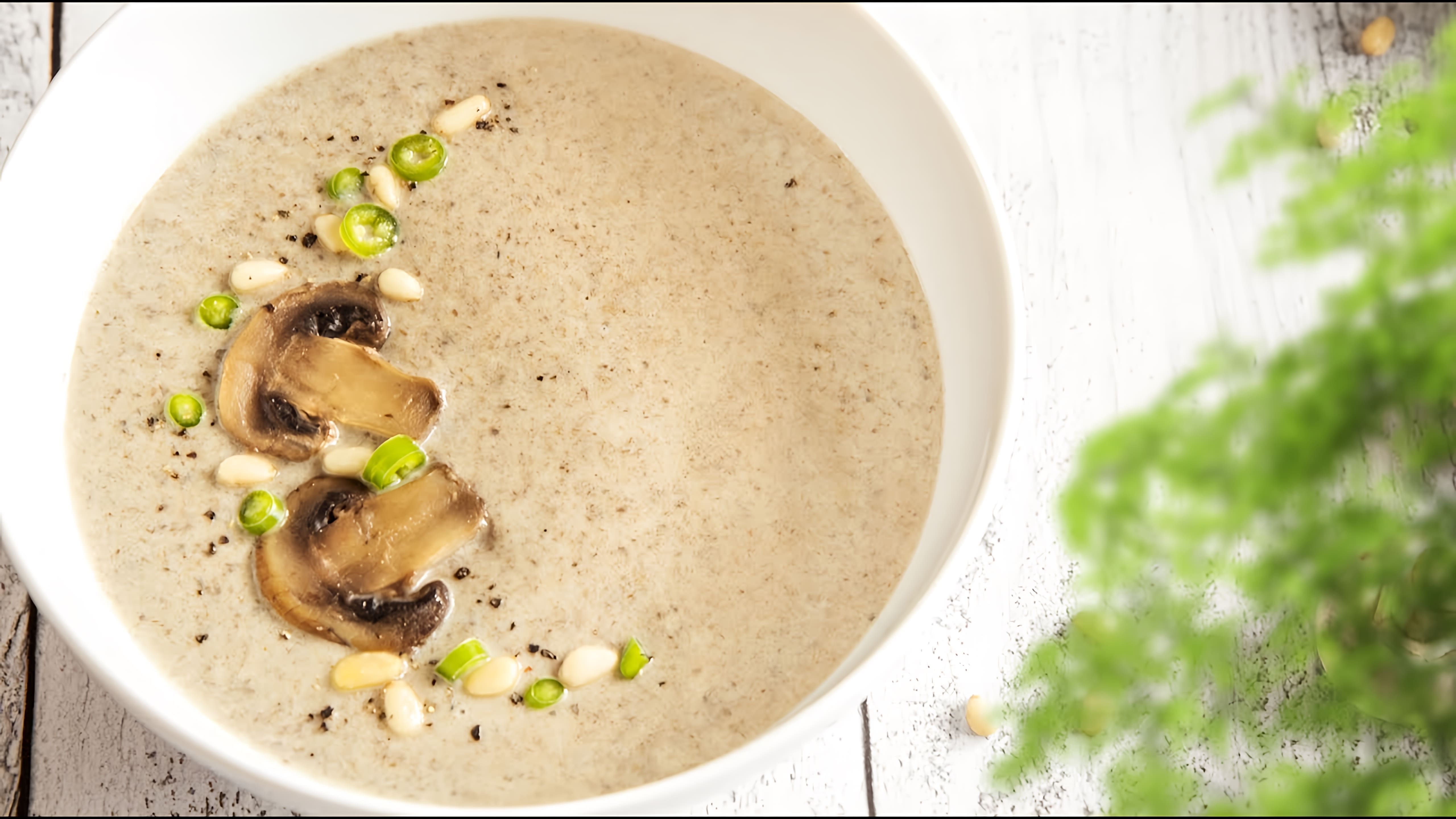 Видео - рецепт крем-супа из грибов