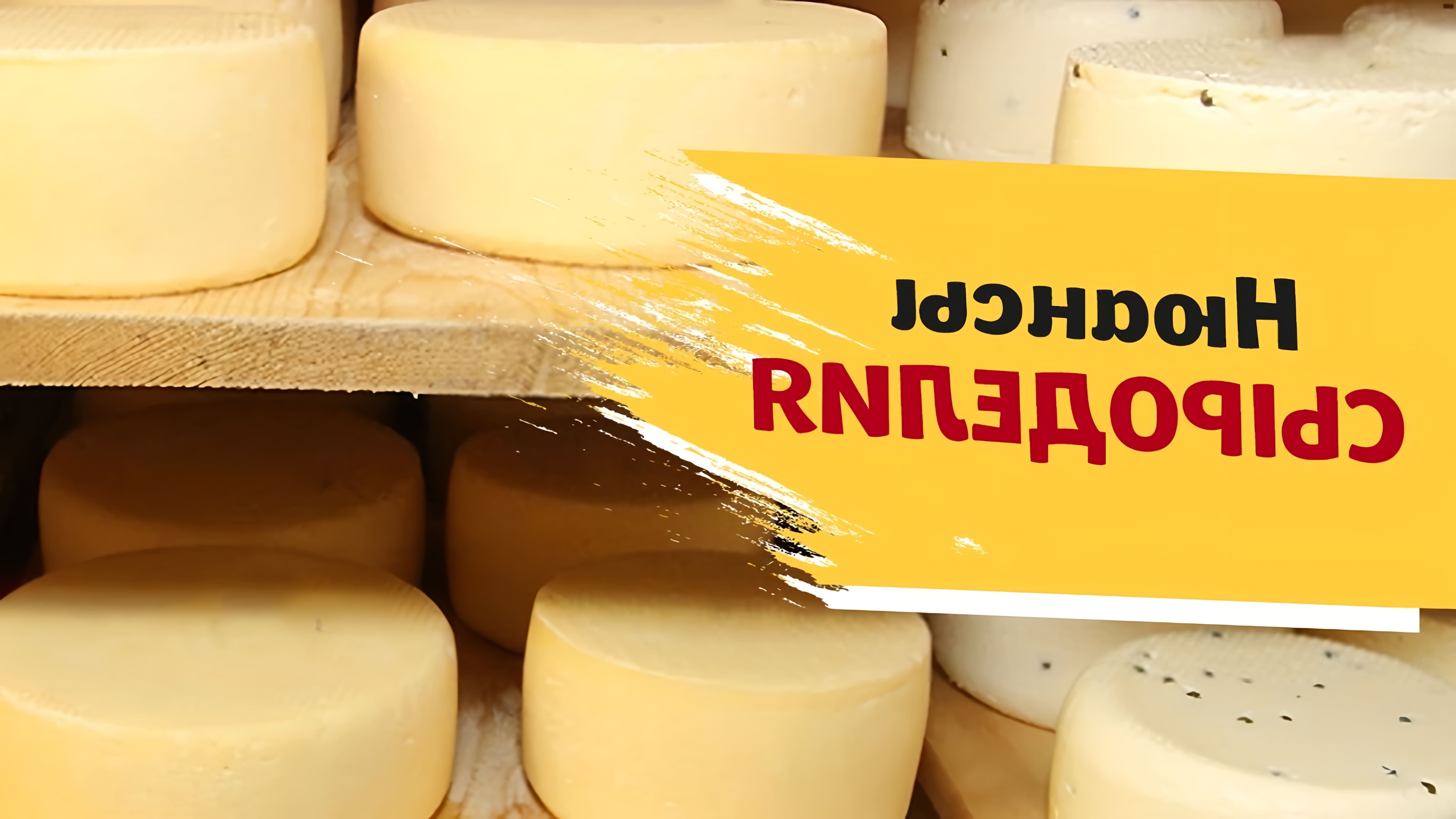 В данном видео рассматриваются различные проблемы, которые могут возникнуть при изготовлении сыра