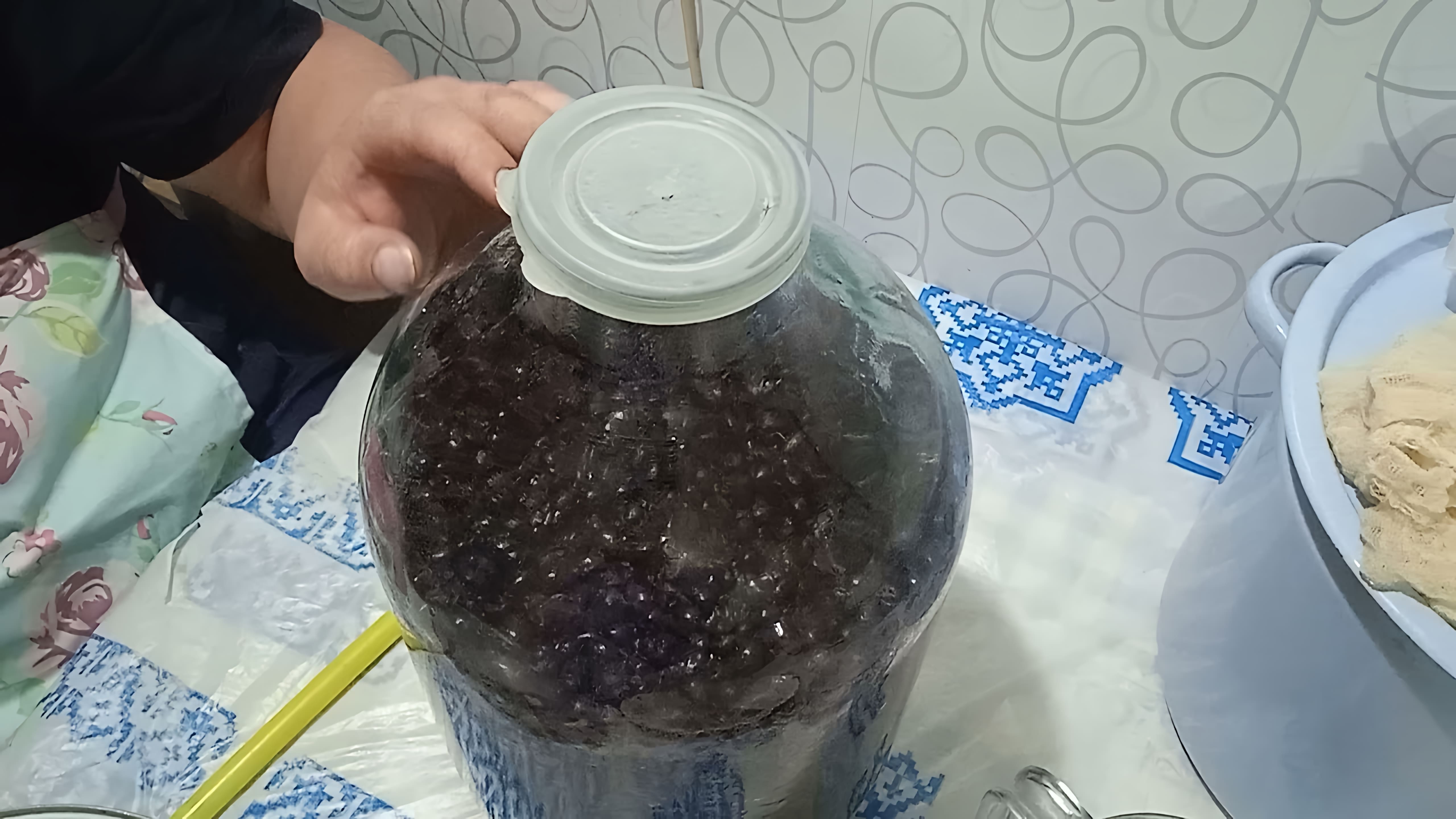 В этом видео демонстрируется процесс приготовления домашнего вина из черноплодки
