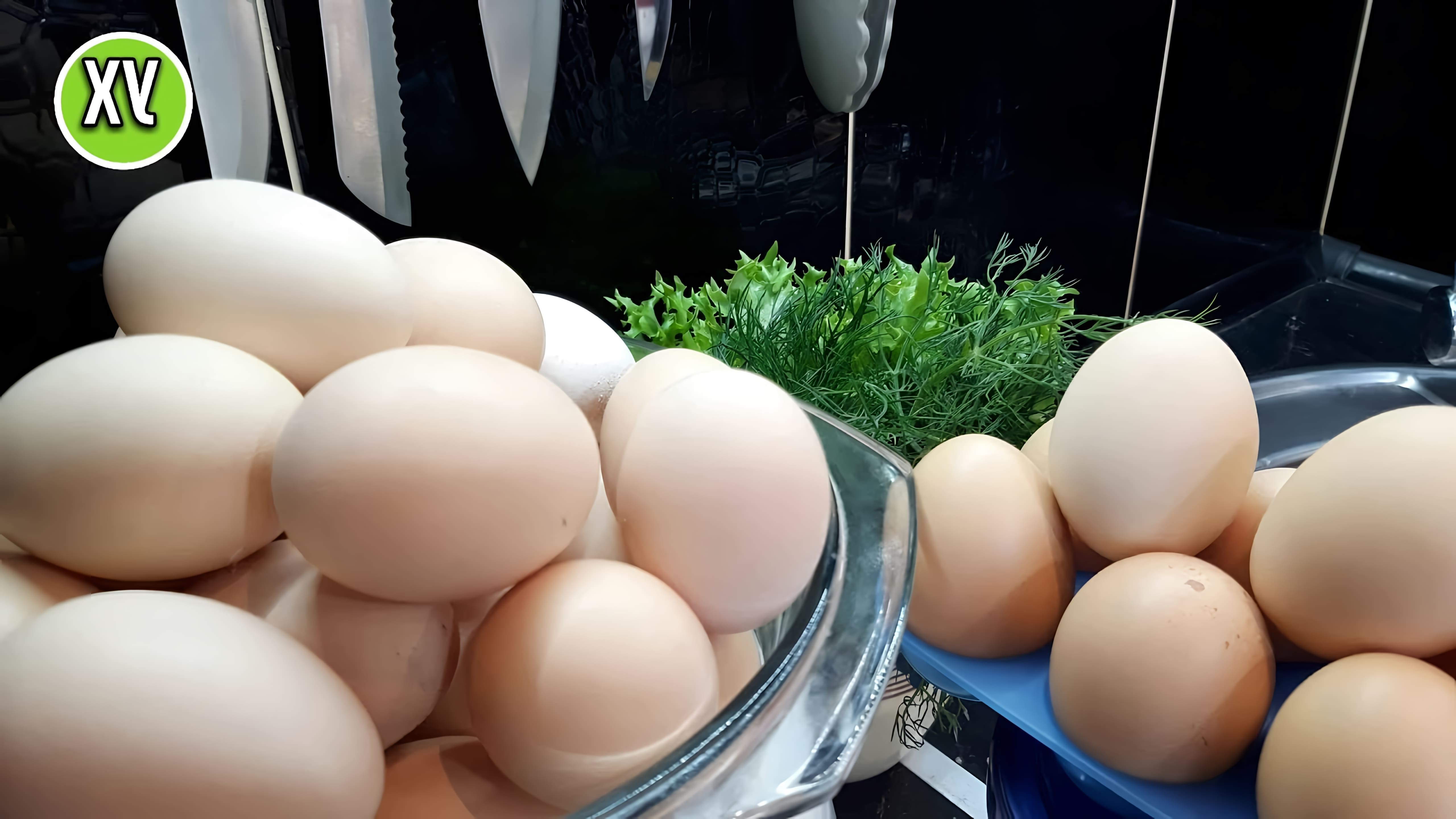 В этом видео показаны три рецепта из яиц: омлет из детства, ленивые яйца бенедикт под соусом и деревенская яичница