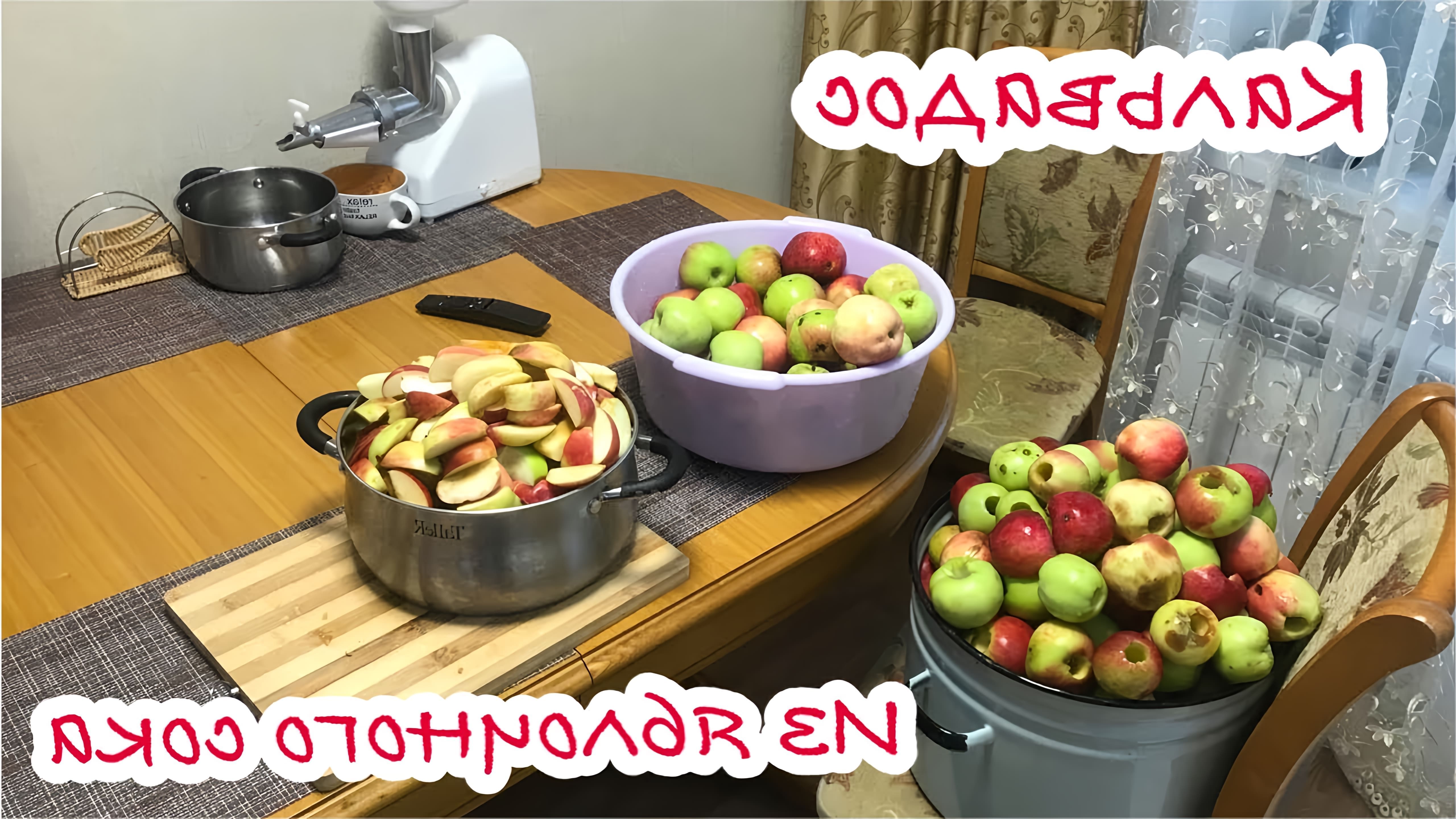 В данном видео демонстрируется процесс приготовления яблочного самогона, который затем перегоняется в кальвадос