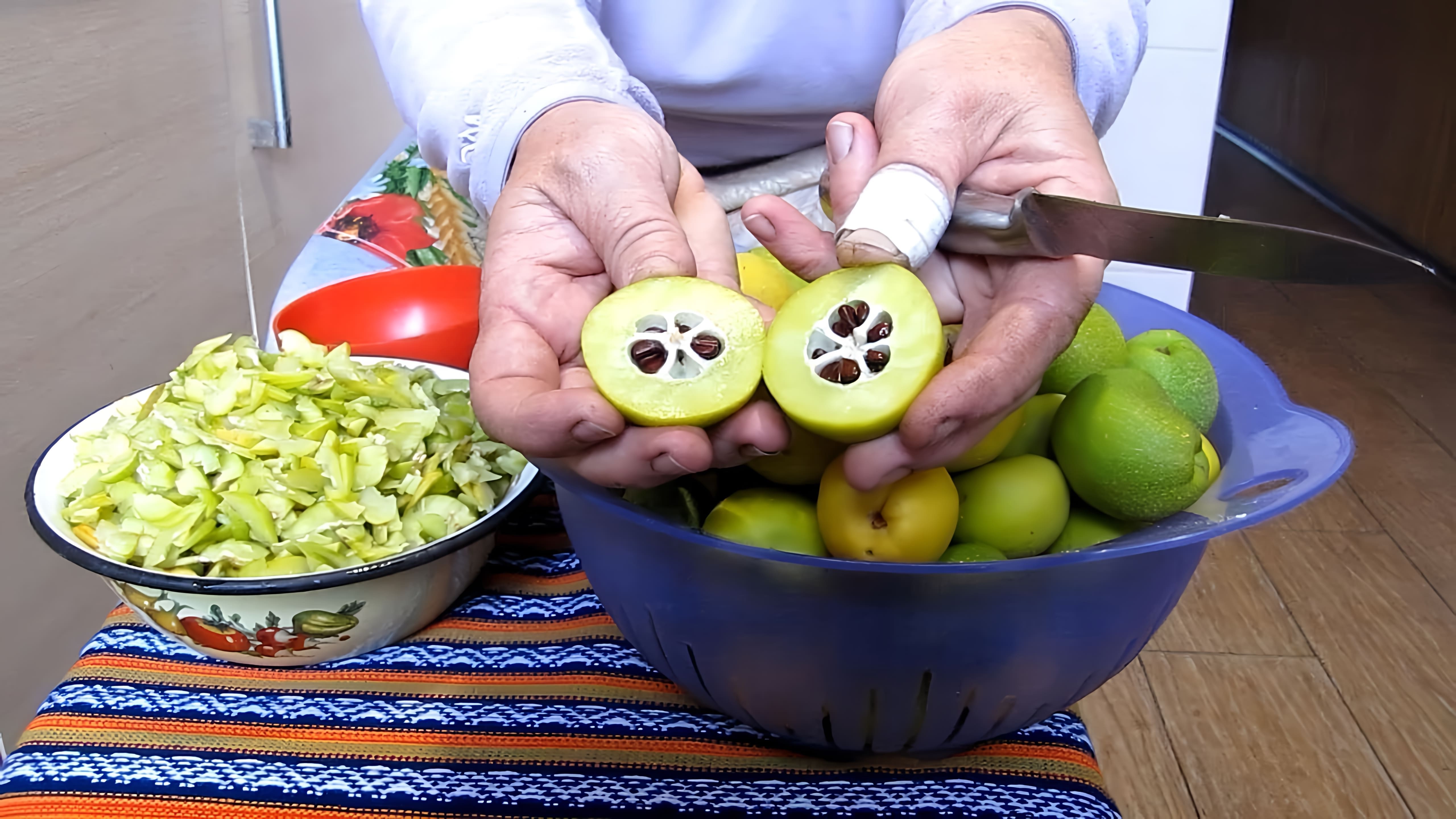 В этом видео рассказывается о хеномелесе, или айве японской, и ее использовании в качестве плодового и декоративного растения