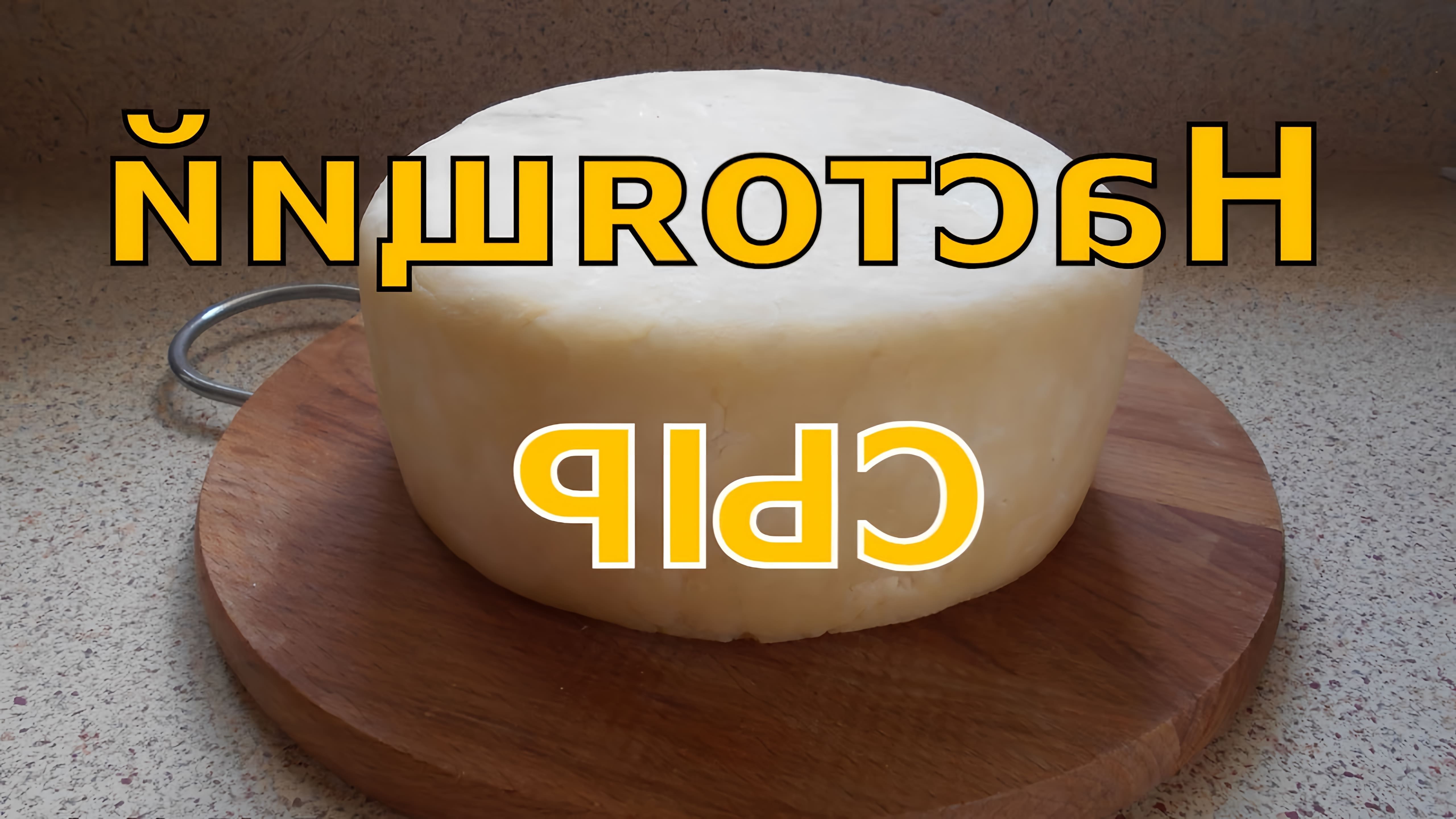 В данном видео демонстрируется процесс приготовления сыра из козьего молока