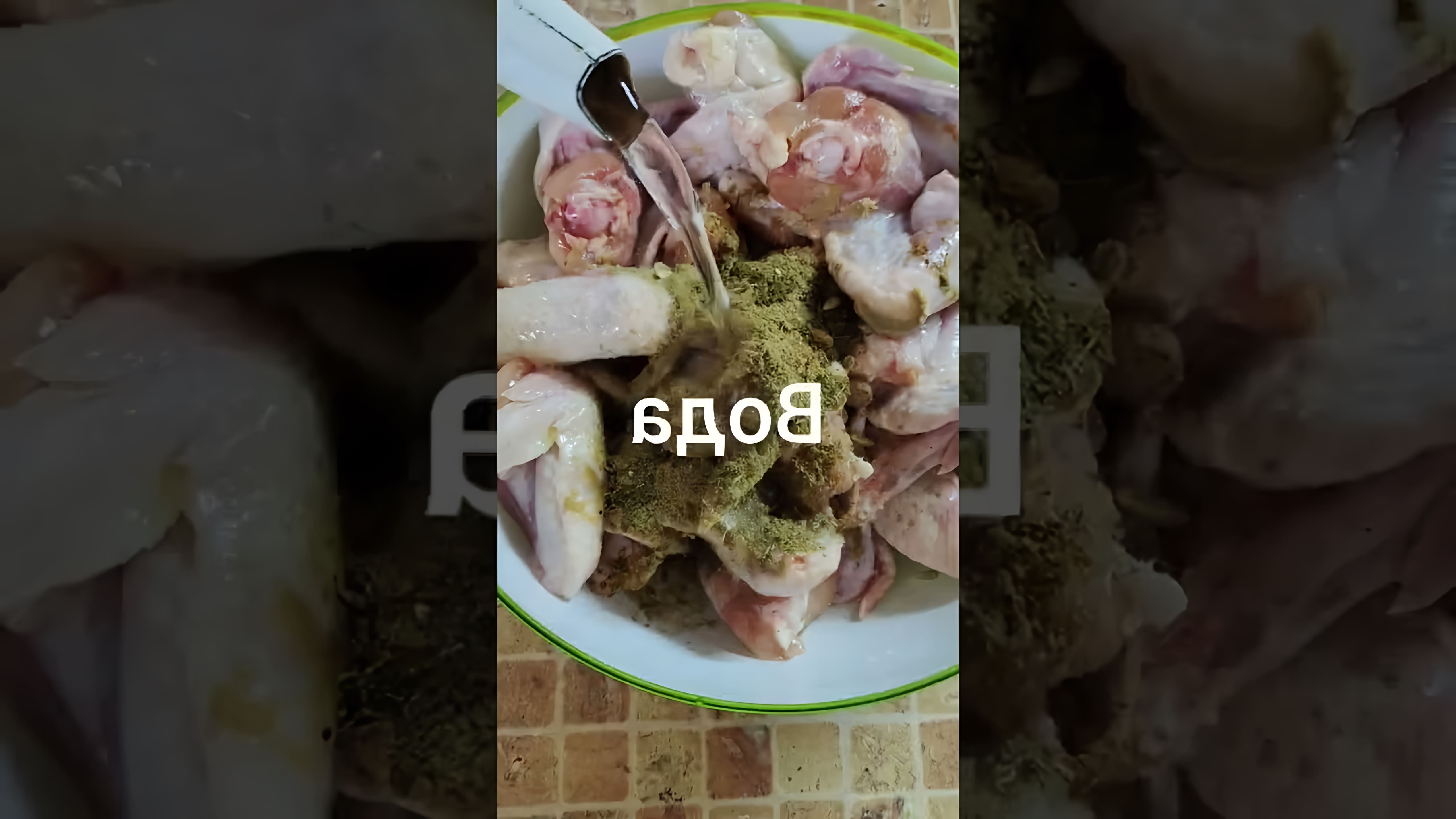 В этом видео-ролике кулинар из деревни делится своим рецептом приготовления куриных крылышек на огне
