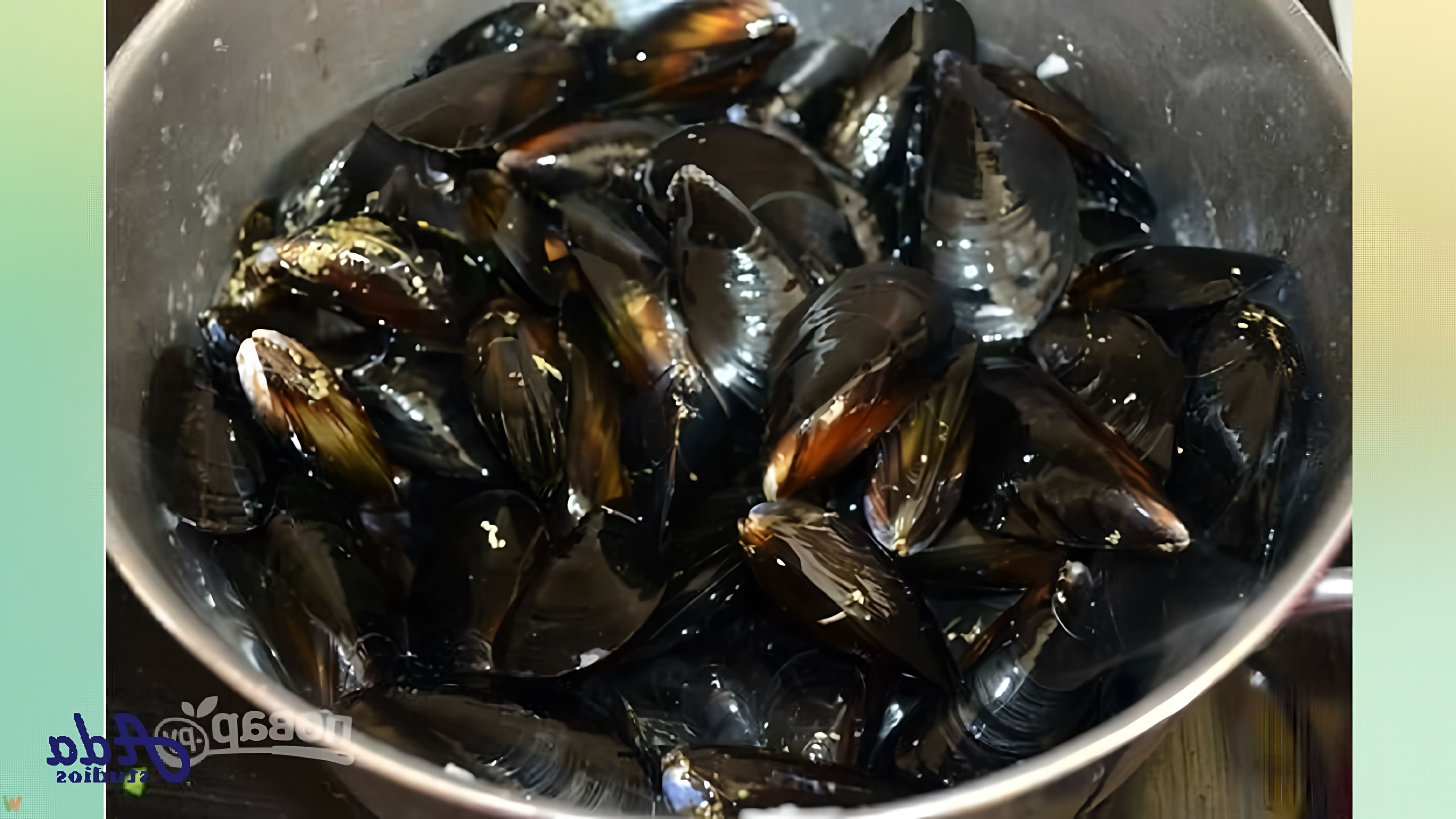 В этом видео демонстрируется рецепт приготовления черной пасты с морепродуктами