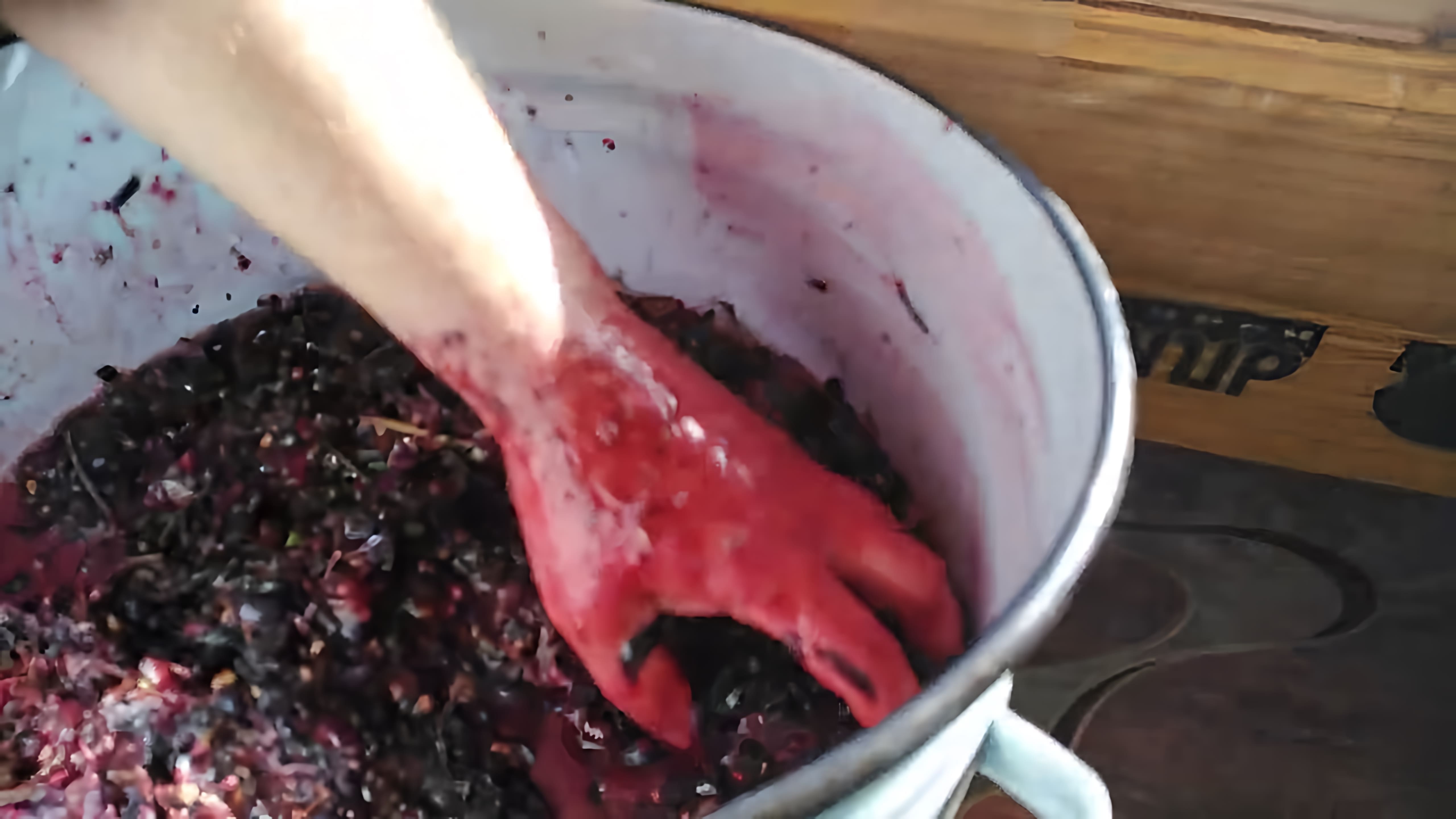 В данном видео демонстрируется процесс приготовления домашнего вина из винограда "Изабелла"