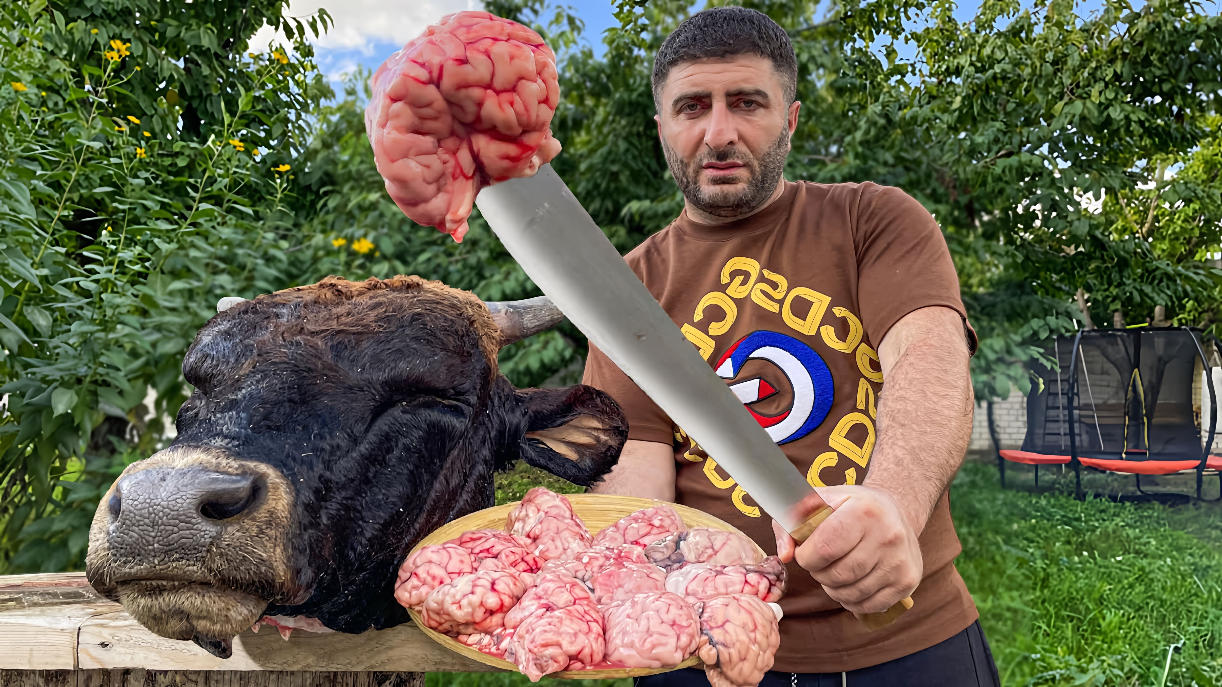 В этом видео-ролике вы увидите, как готовятся самые свежие говяжьи мозги, зажаренные в тандыре