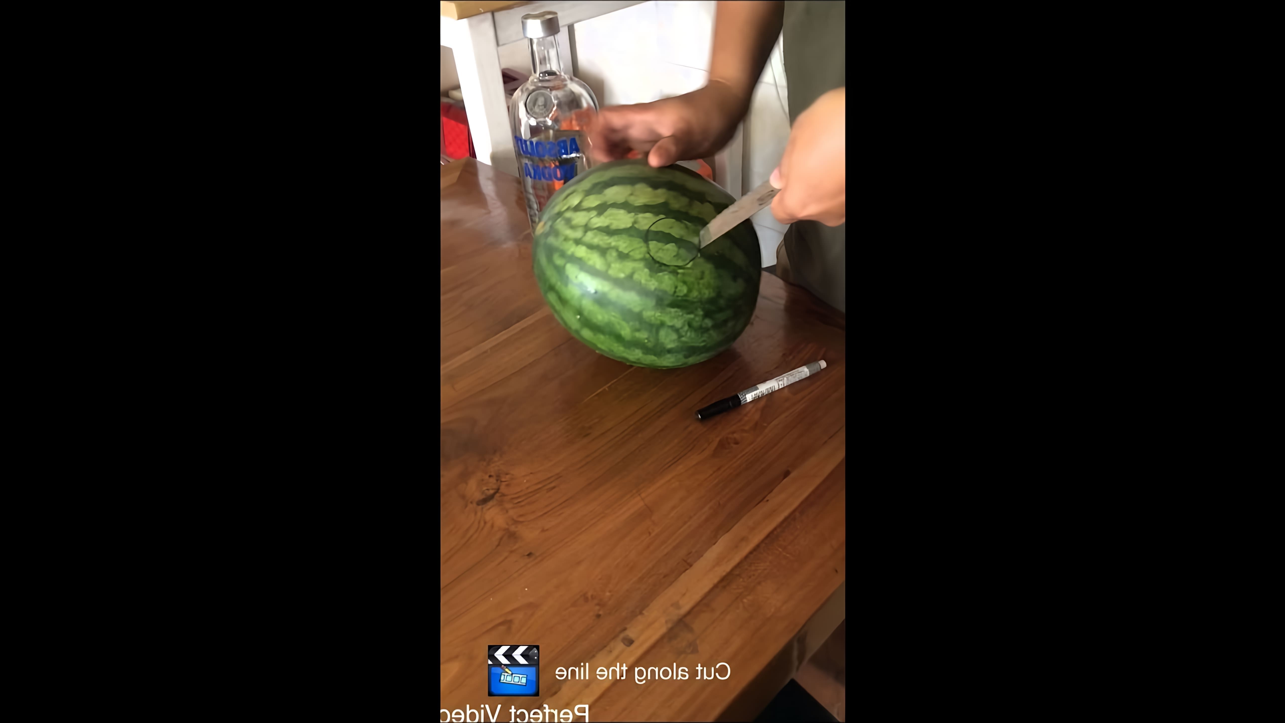 Vodka watermelon - это видео-ролик, который демонстрирует процесс приготовления коктейля из водки и арбуза