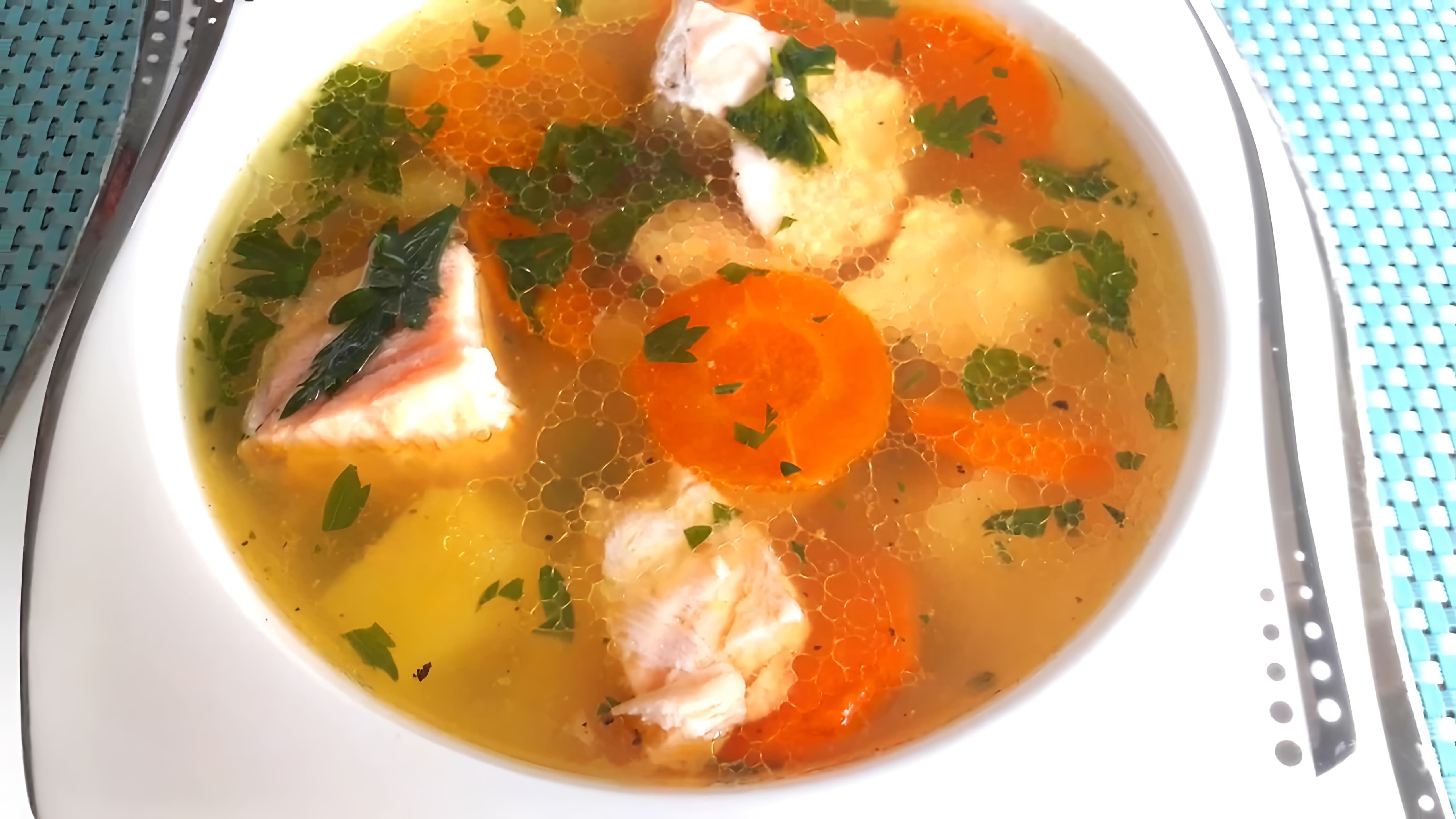 СУП ИЗ КРАСНОЙ РЫБЫ. Как вкусно приготовить рыбный суп. Легкий, вкусный рецепт супчика