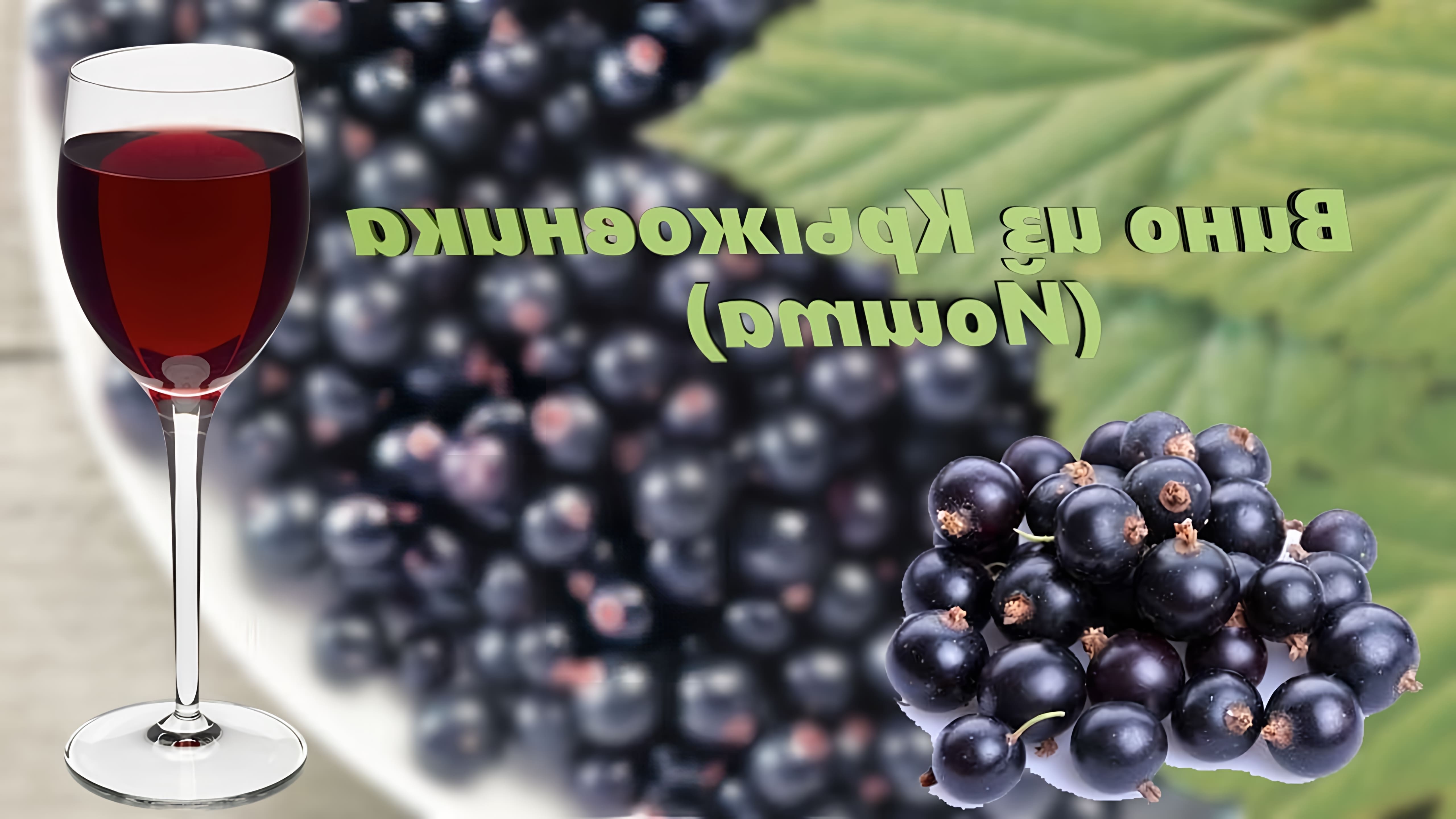 В этом видео Максим Лисовский показывает, как приготовить вино из ягод йошты (гибрид крыжовника и смородины)