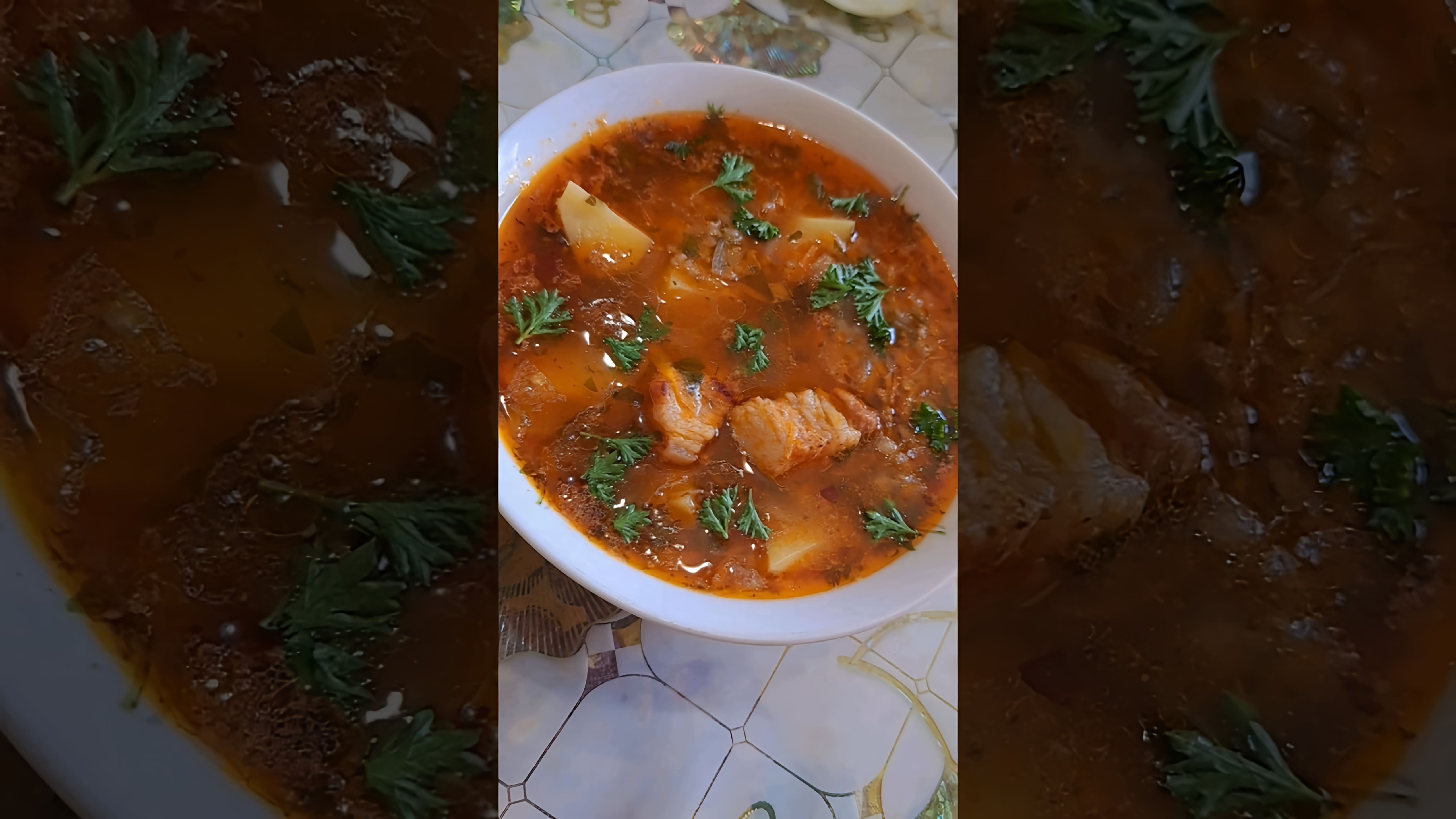 В этом видео-ролике вы увидите, как приготовить вкусный и ароматный суп харчо со свининой и томатной пастой