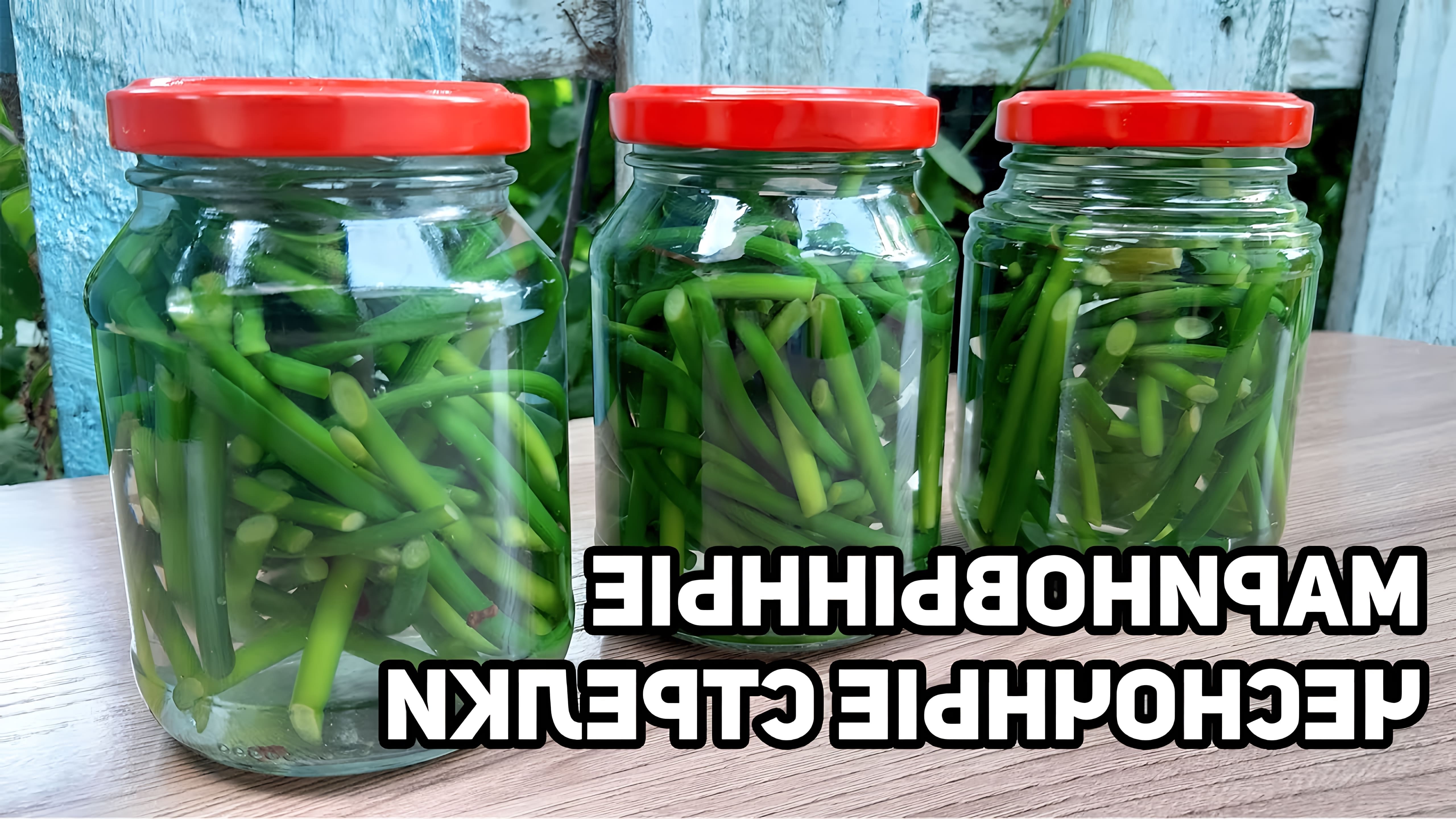 В этом видео рассказывается о приготовлении маринованных чесночных стрелок, которые являются любимым блюдом корейцев