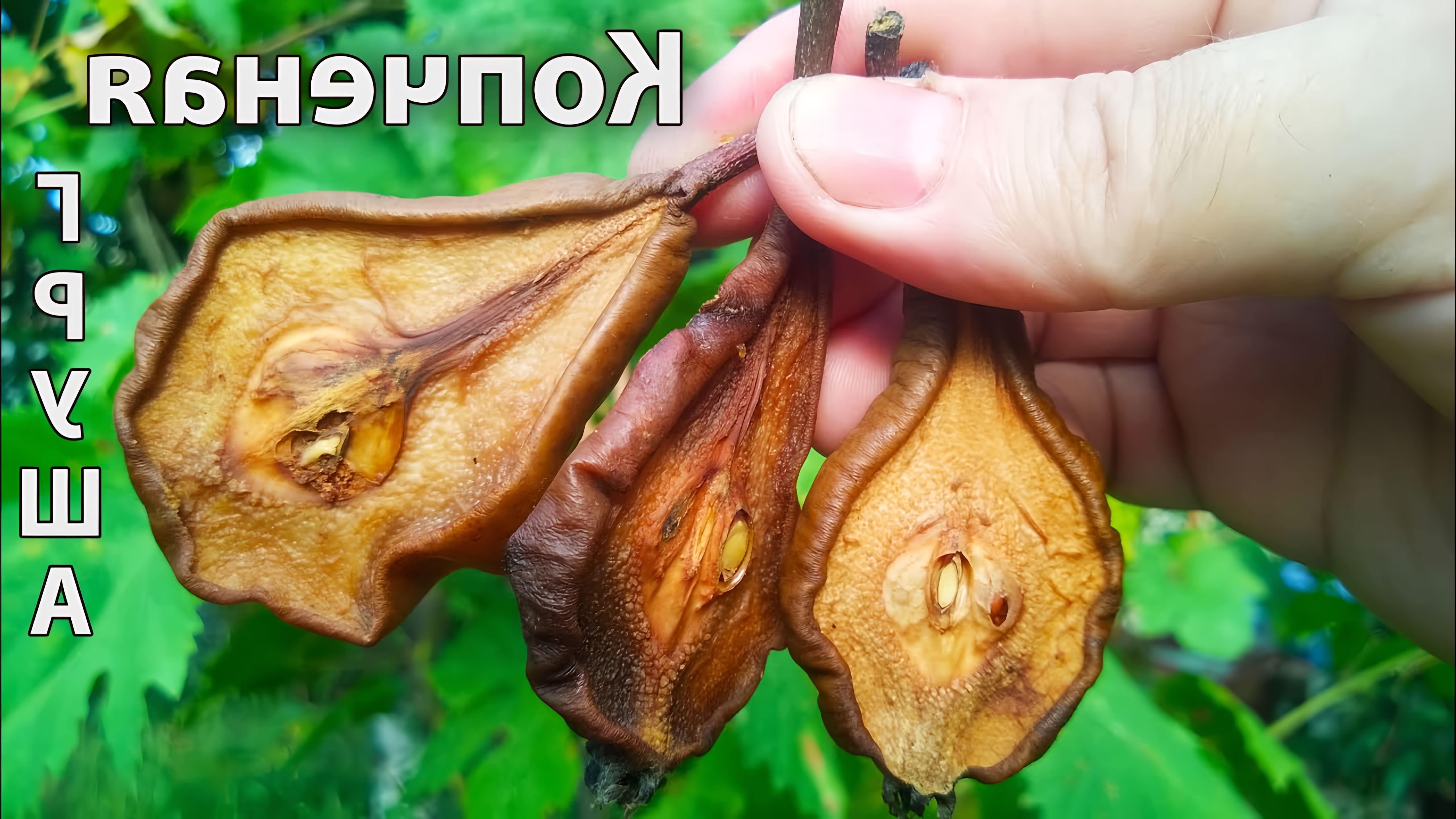 В этом видео-ролике я покажу вам, как приготовить вкусную и ароматную копченую грушу