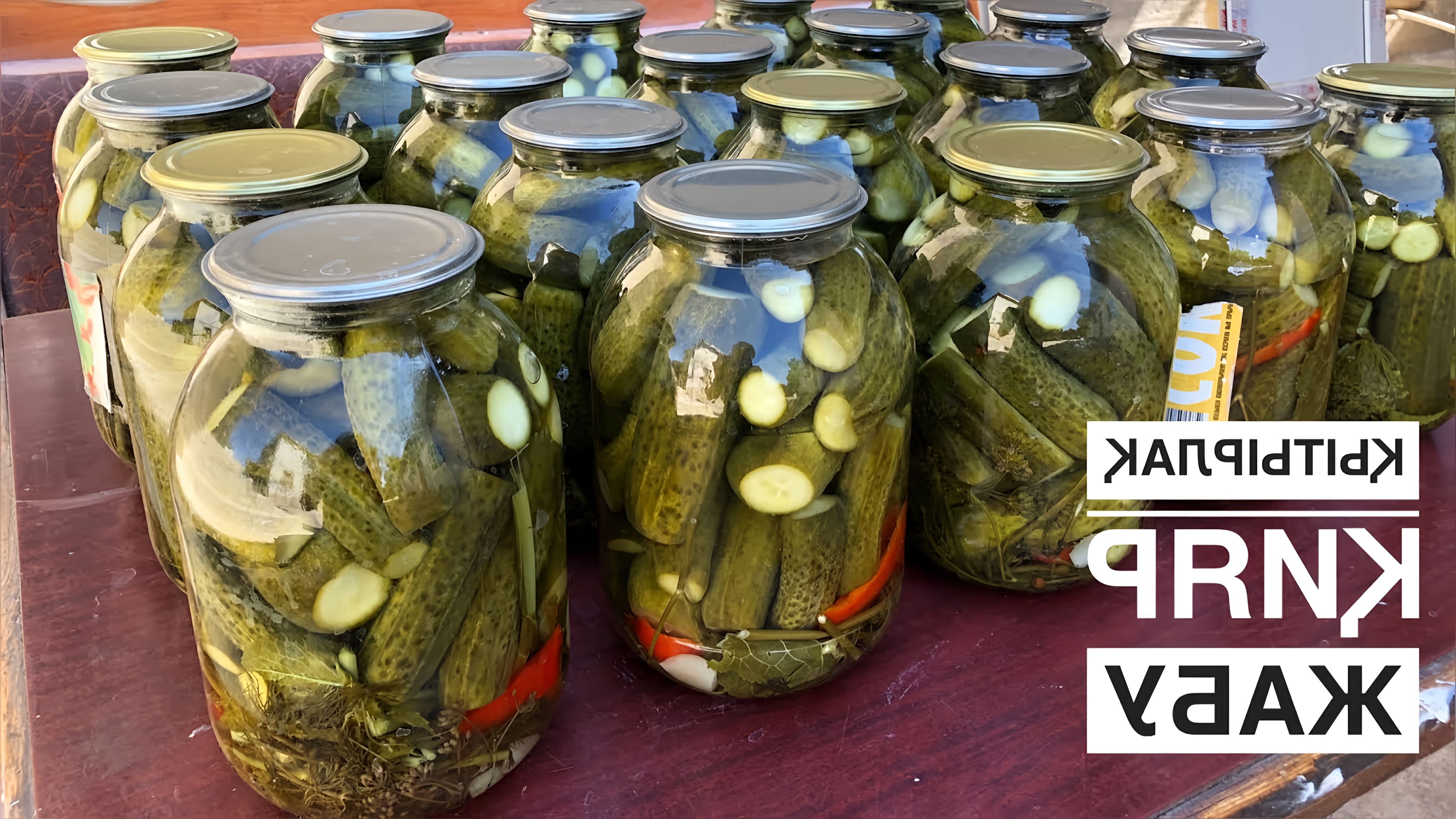 Тамақ минет құл