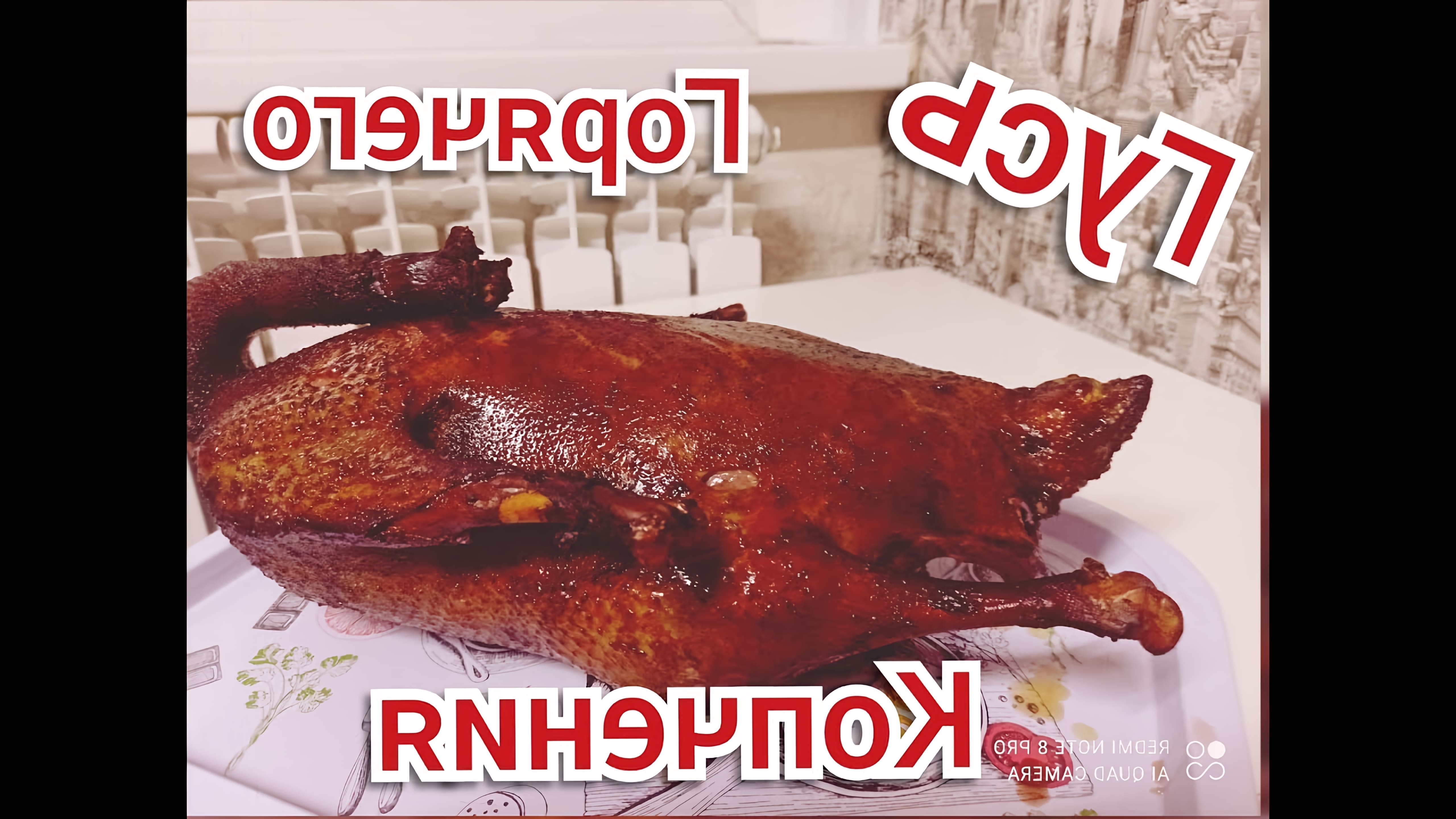 Как закоптить гуся. Как закоптить гуся. Как закоптить гуся. Гусь горячего копчения. Утка горячего копчения.