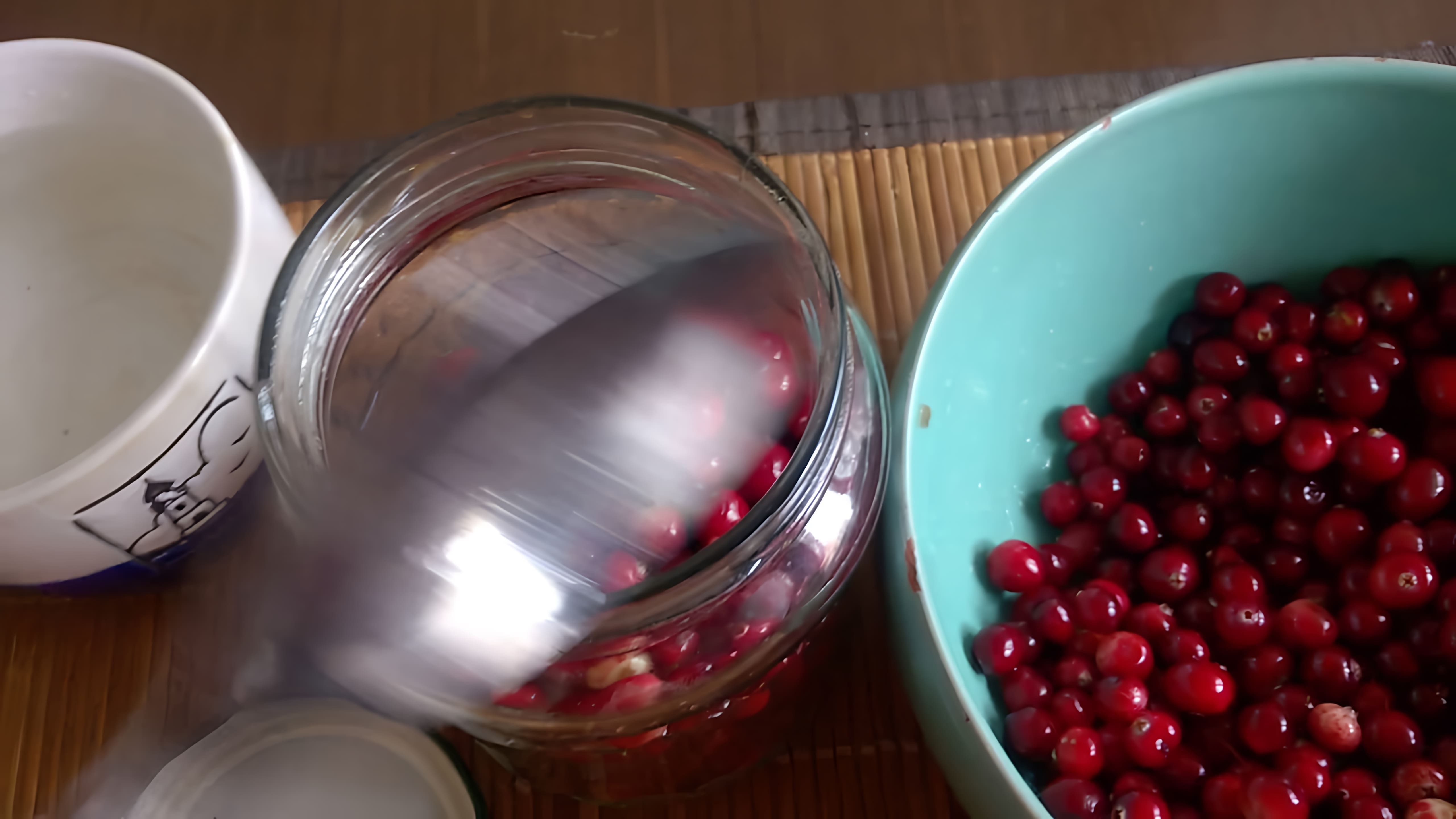 В этом видео демонстрируется простой и эффективный способ сохранения ягод брусники и клюквы свежими зимой