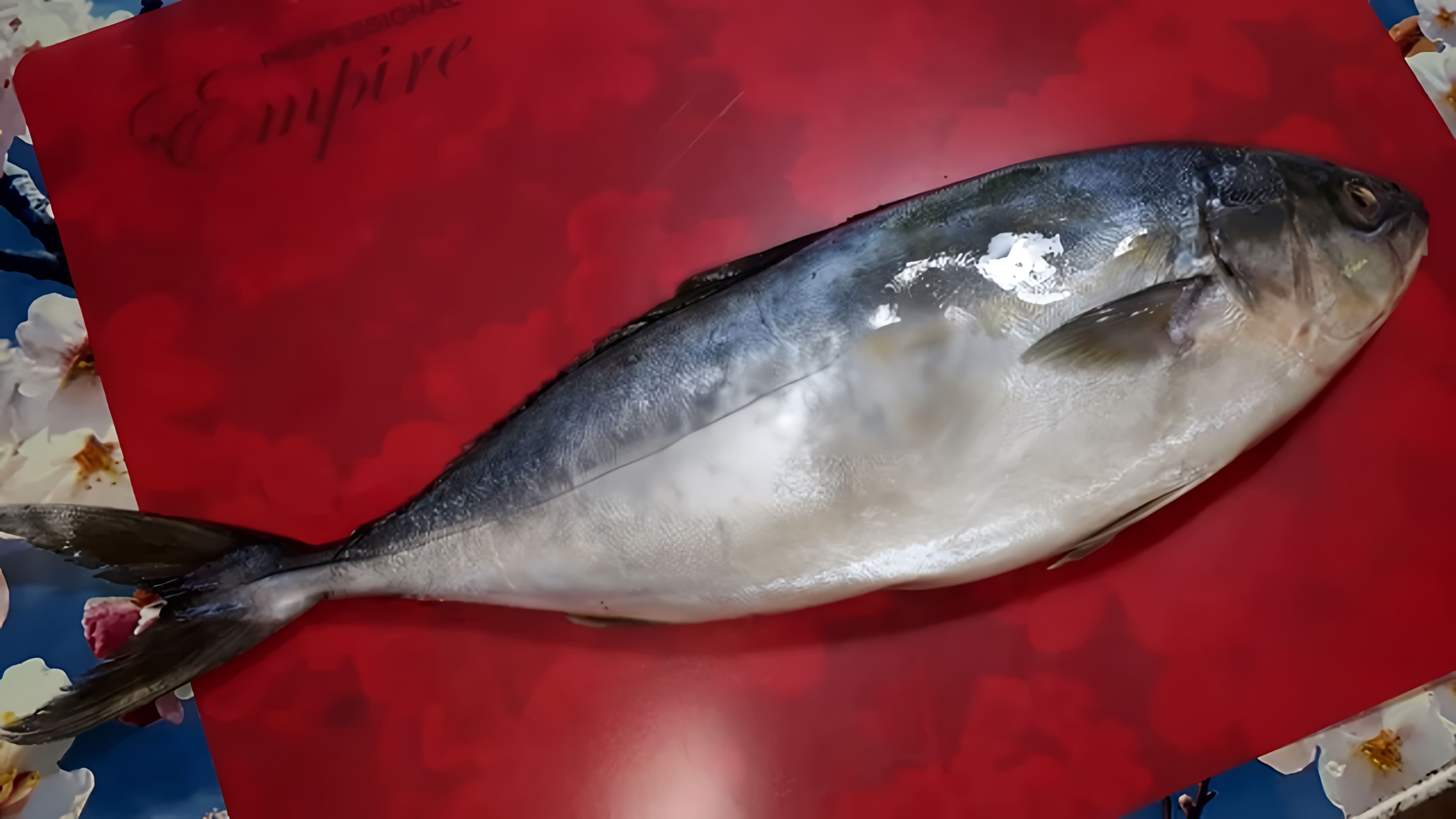 В этом видео-ролике будет показан процесс приготовления тунца на сковороде с хрустящей корочкой