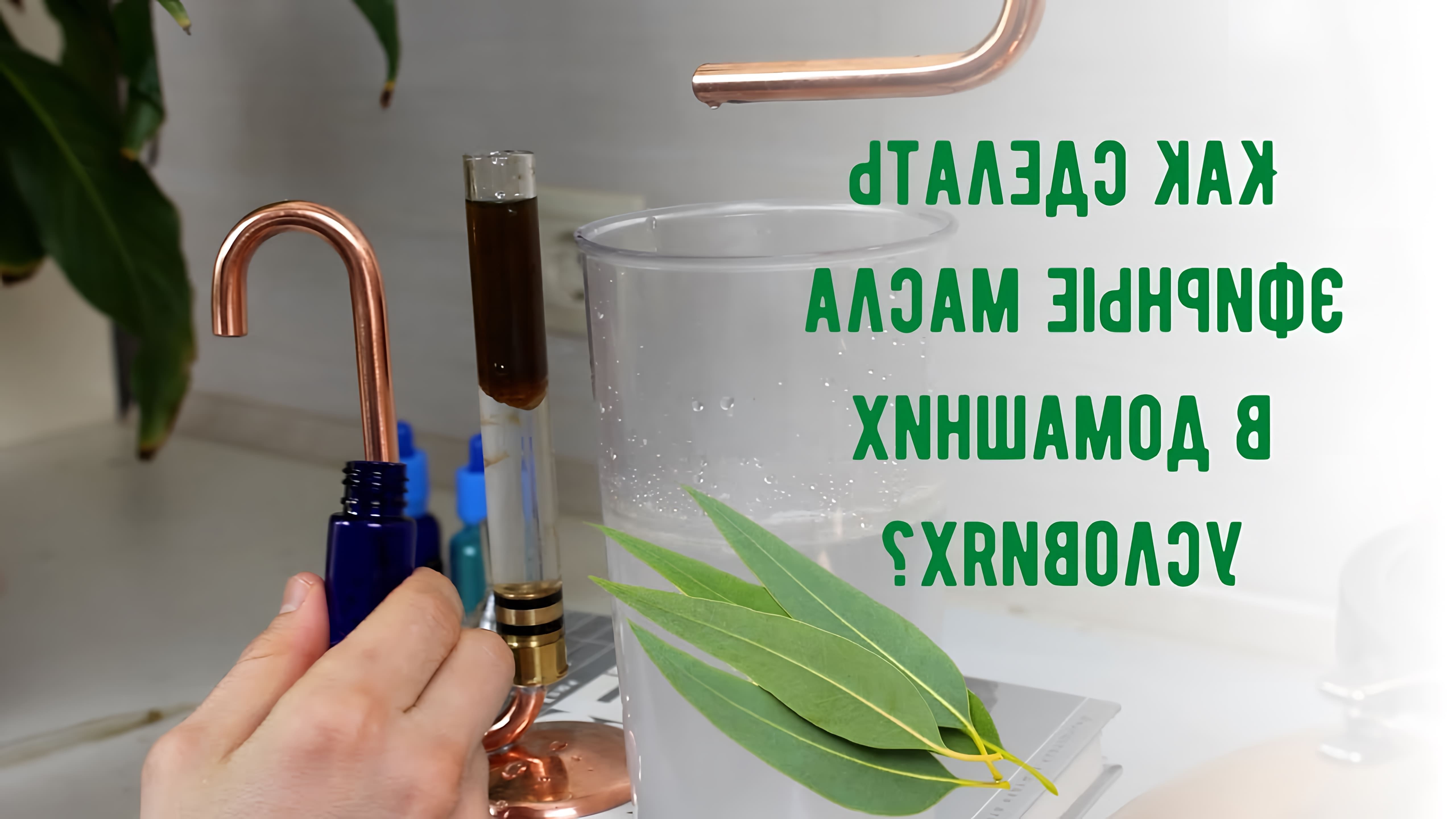 В данном видео демонстрируется процесс изготовления эфирного масла эвкалипта в домашних условиях с помощью специального оборудования