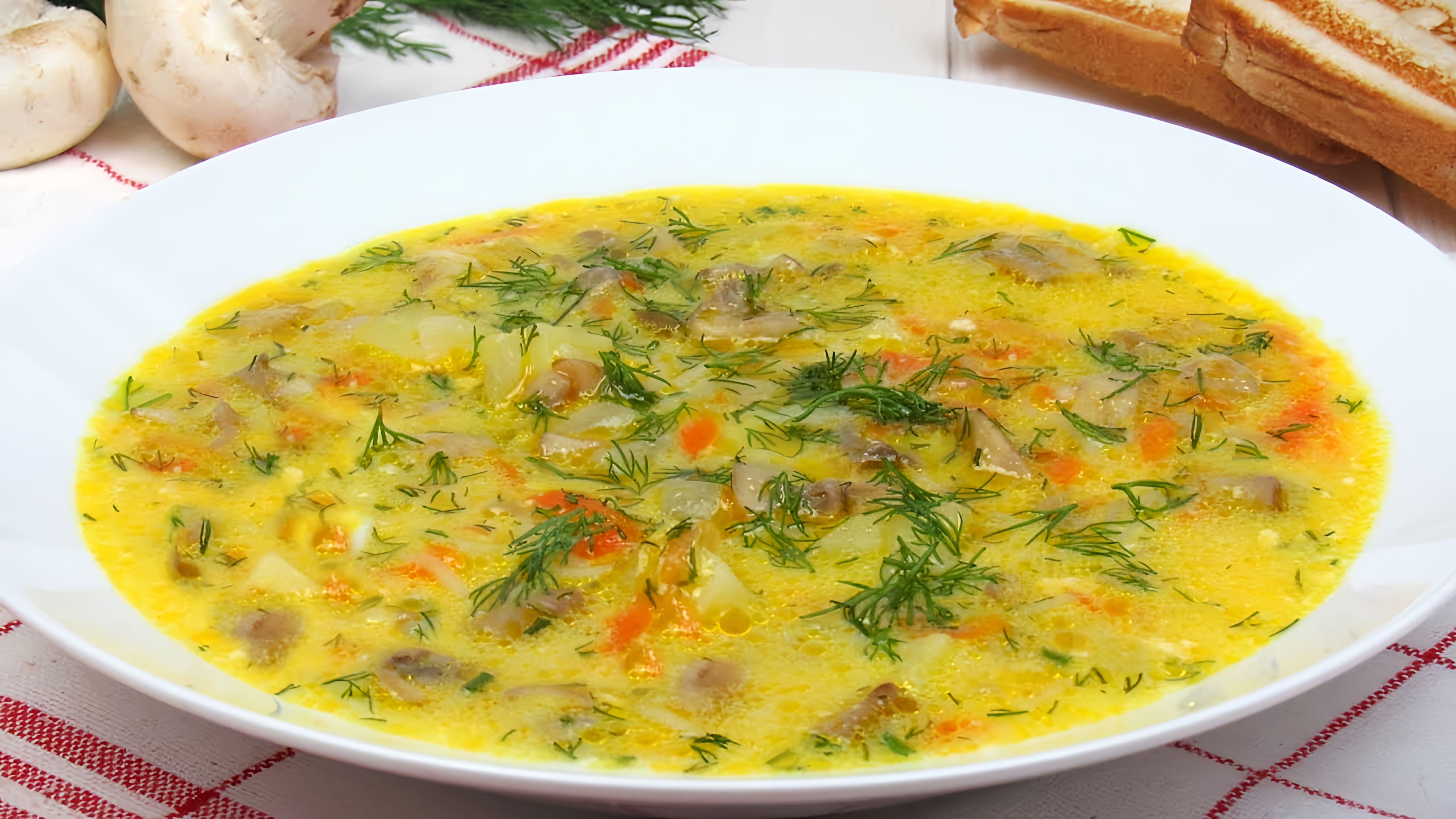 Видео рецепт простого грибного супа без мяса, но все еще удовлетворительного