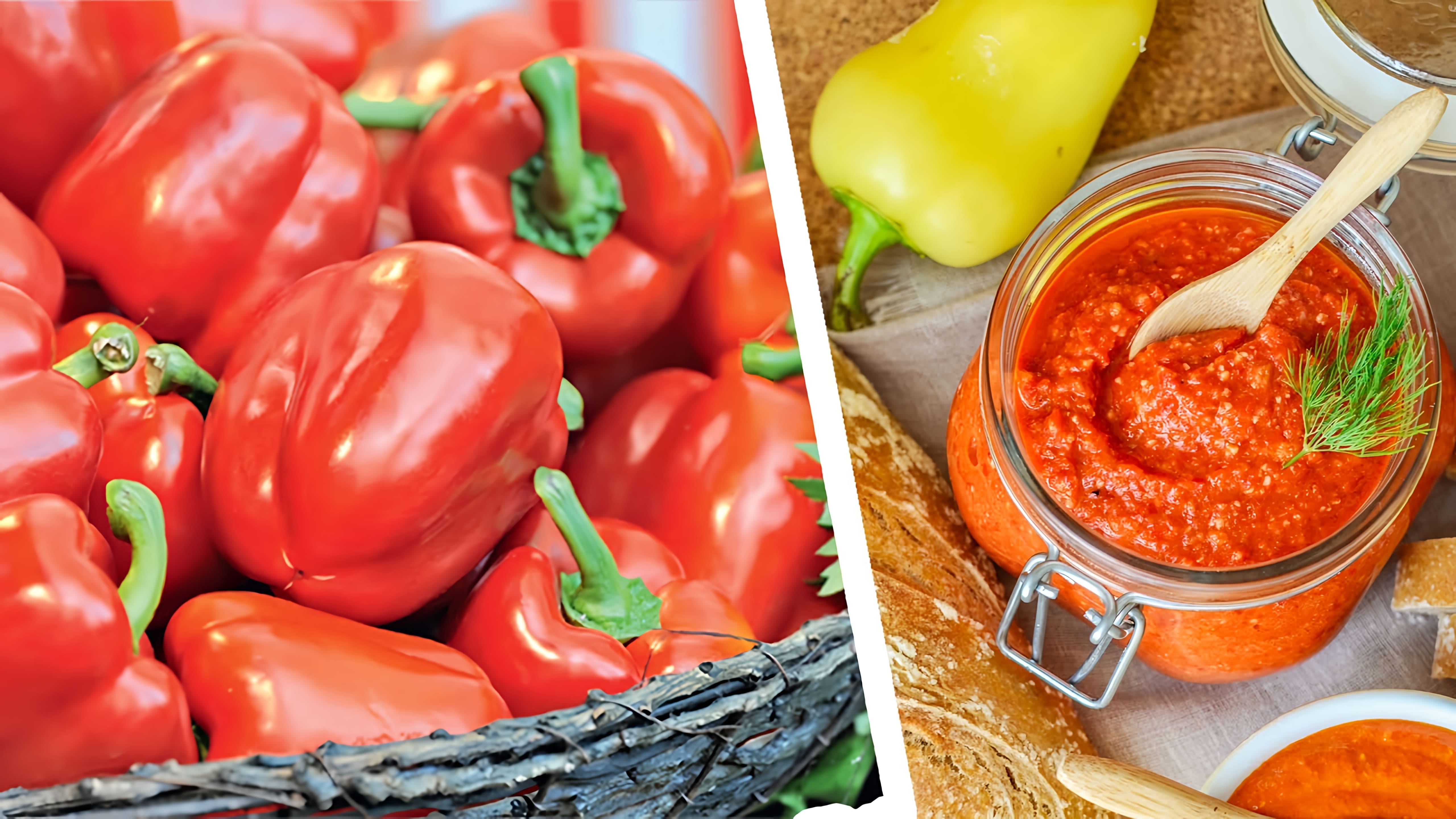 Видео рецепт вкусного томатного соуса, который можно приготовить на зиму