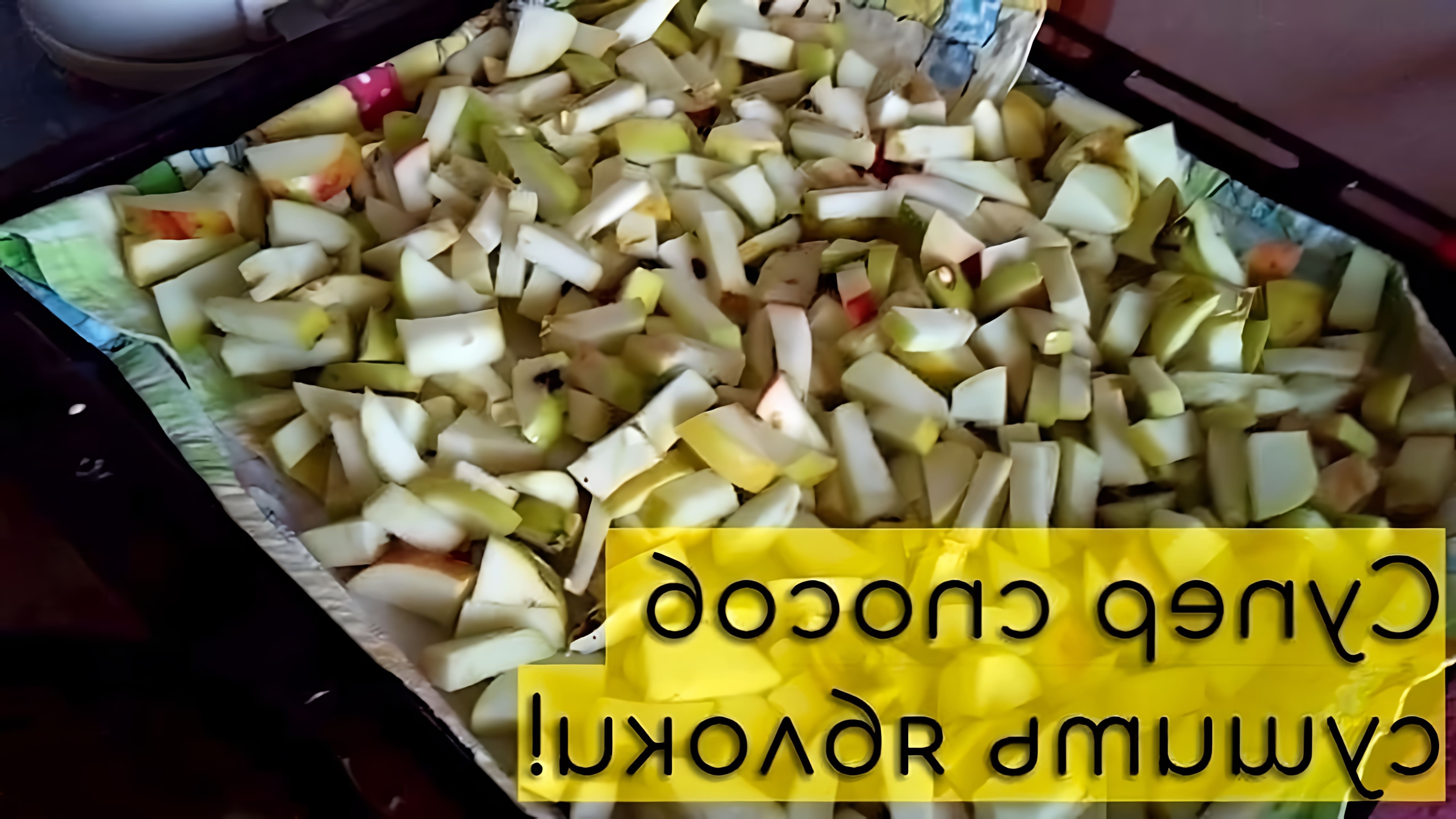 В этом видео демонстрируется простой и эффективный способ сушки яблок в газовой духовке