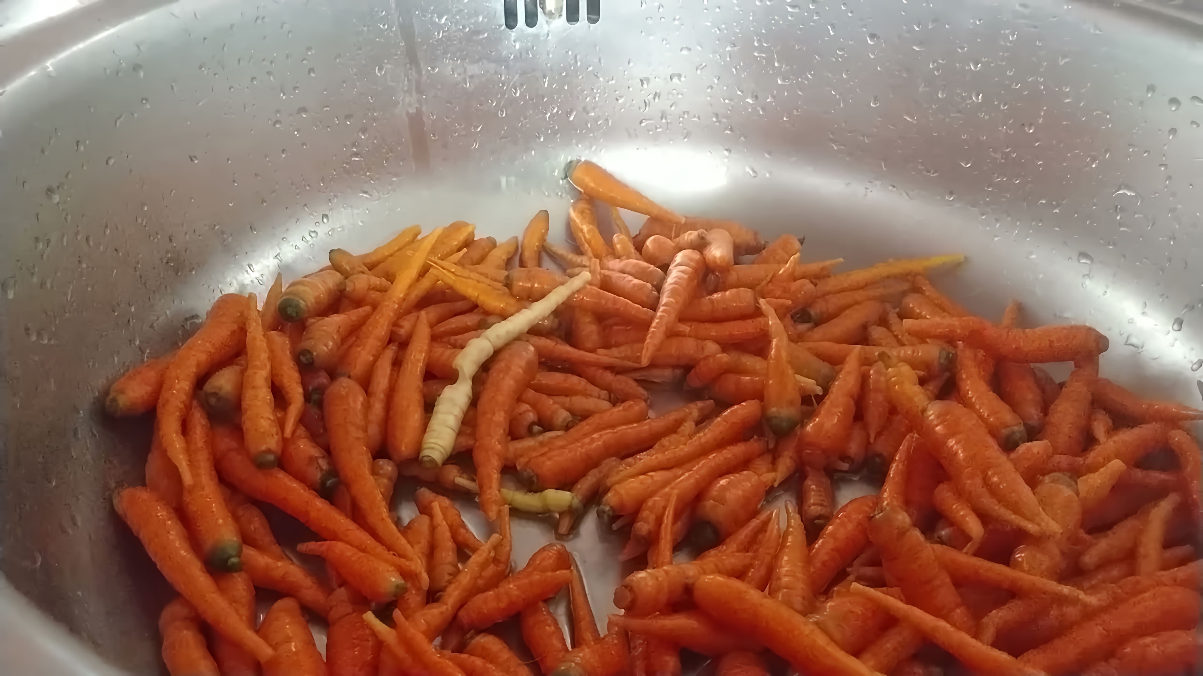 В этом видео демонстрируется процесс уборки моркови