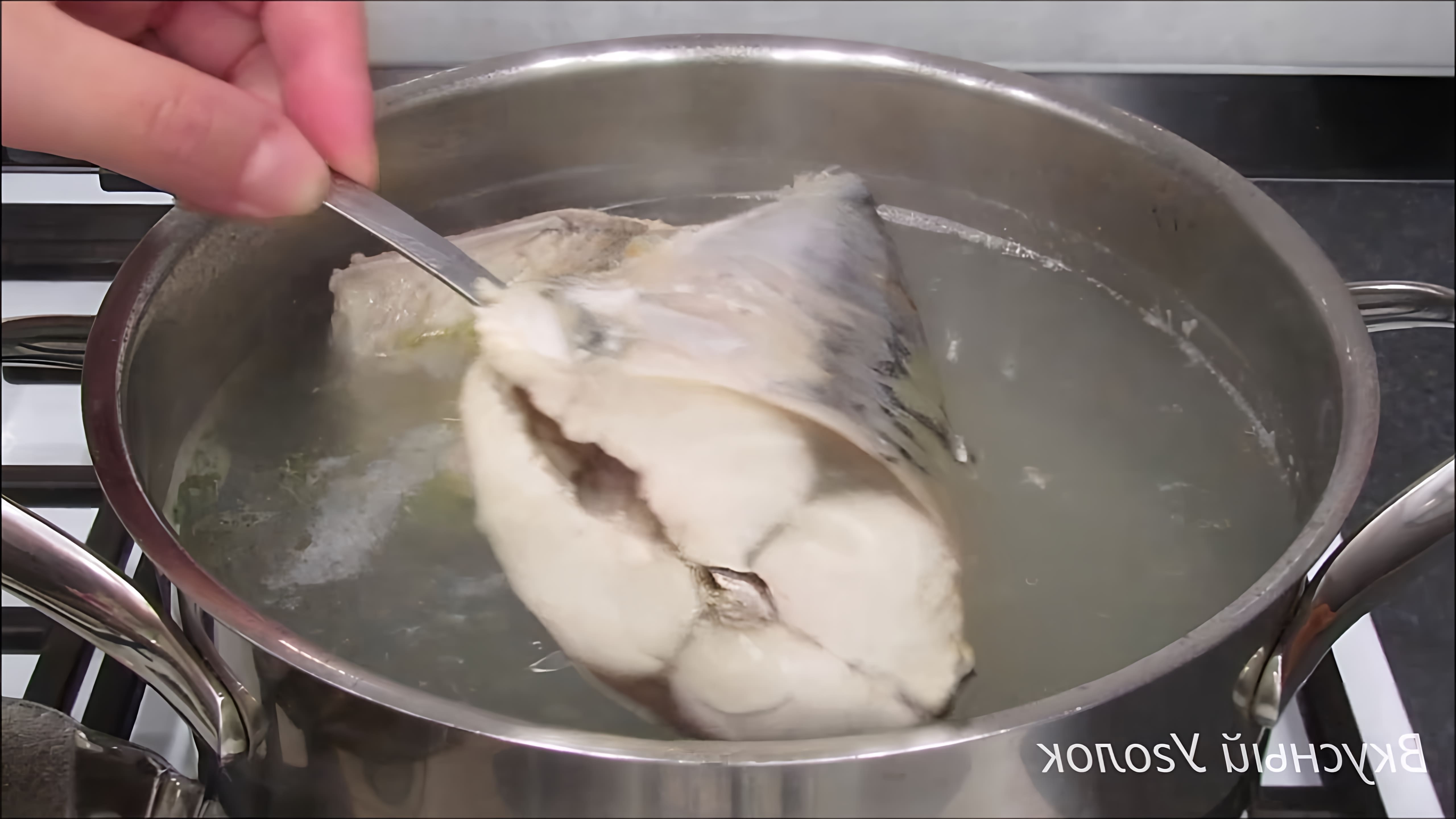 В этом видео демонстрируется процесс приготовления супа со скумбрией