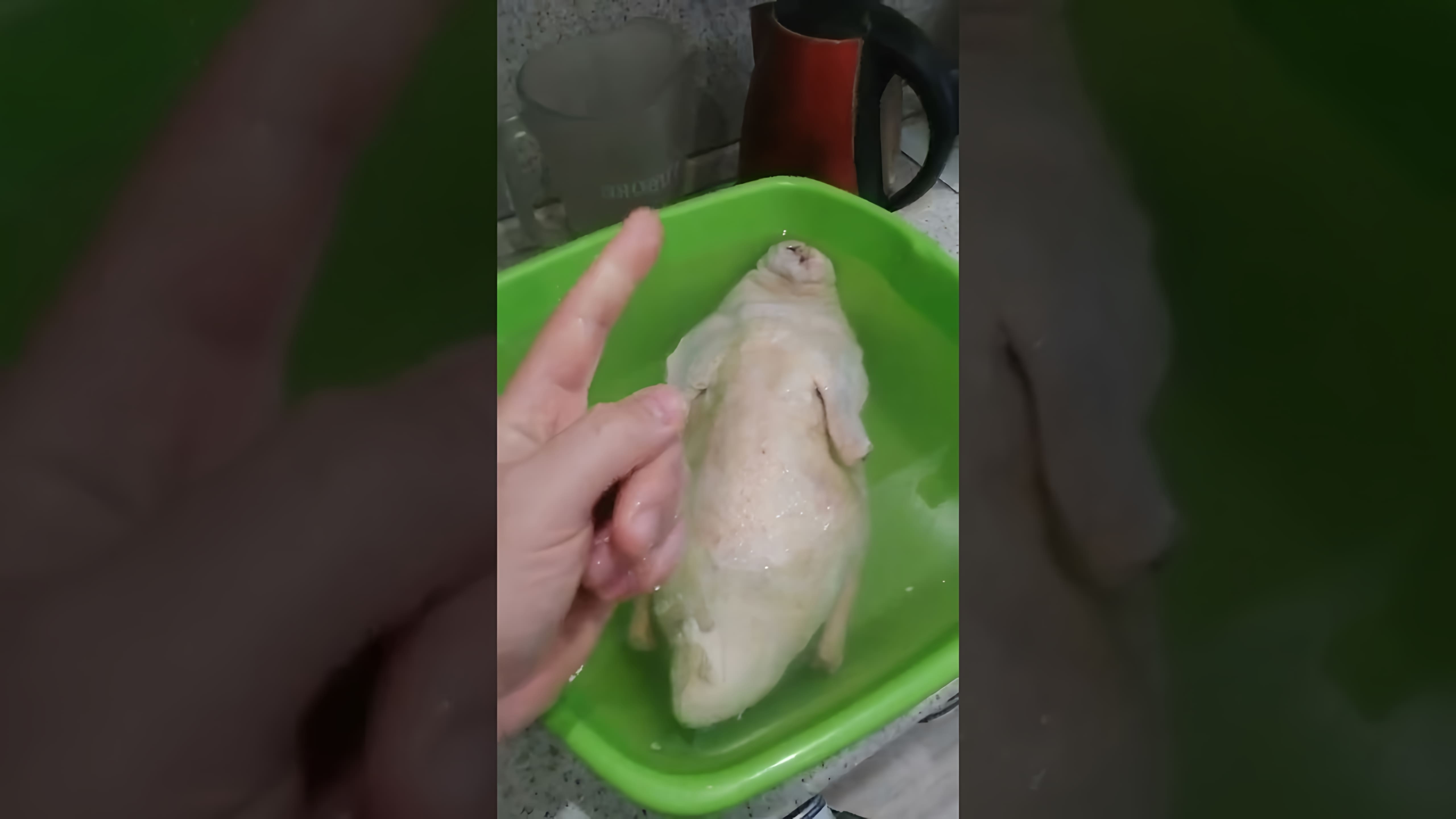 Видео посвящено приготовлению утки в духовке
