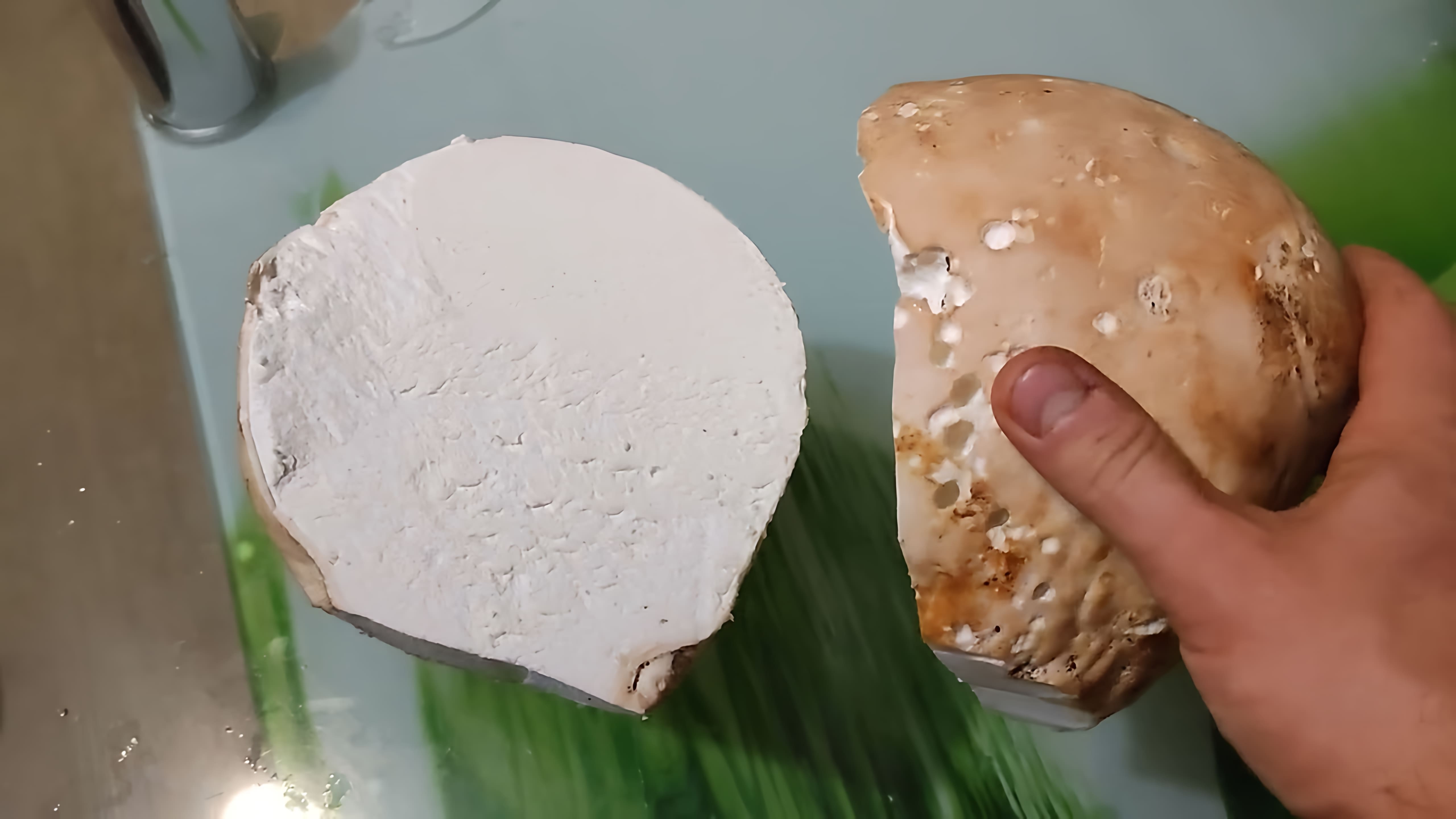 В этом видео рассказывается о грибе дождевике, который также известен как головач