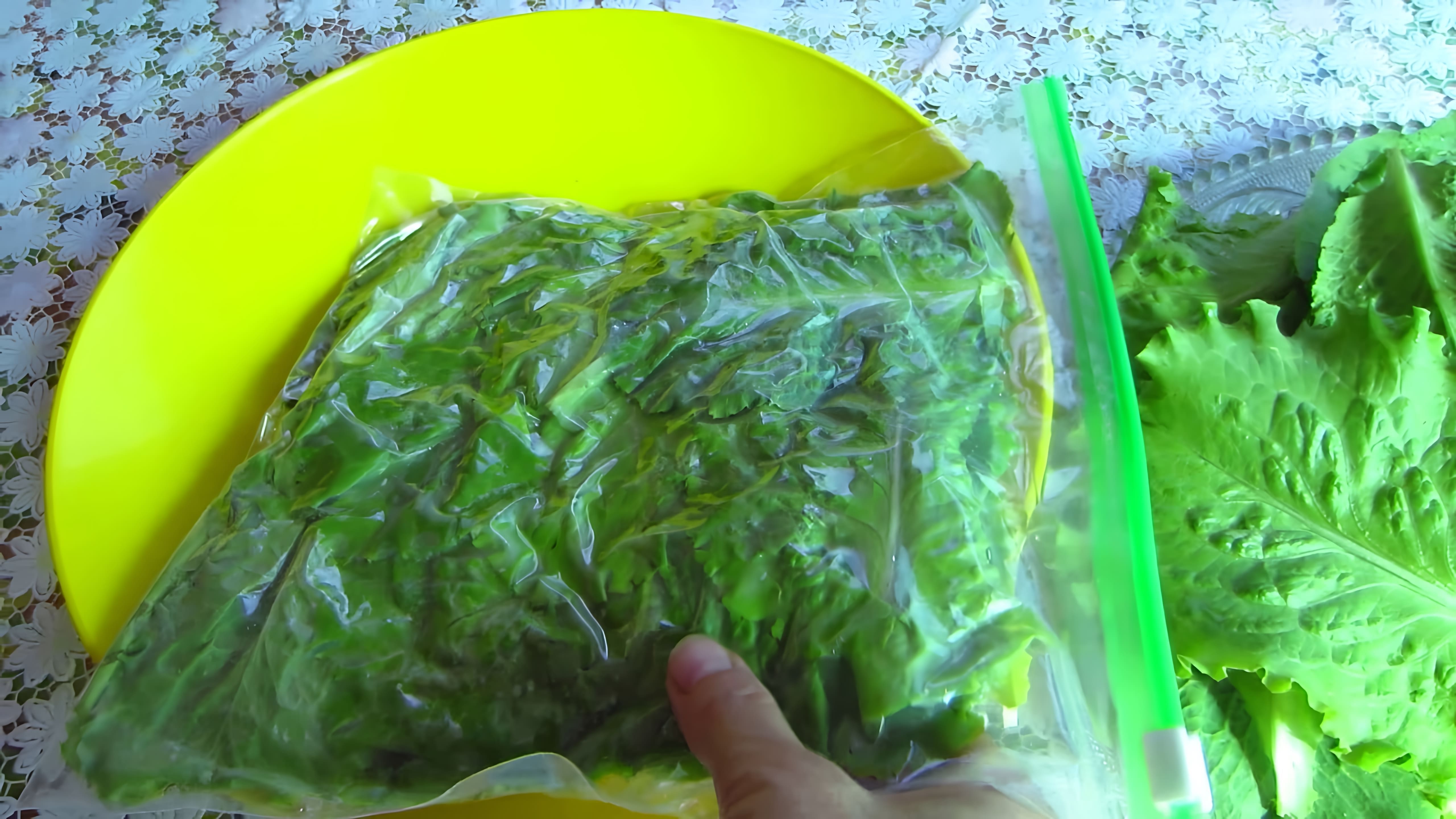 В этом видео рассказывается о том, как заготовить зеленый салат на зиму