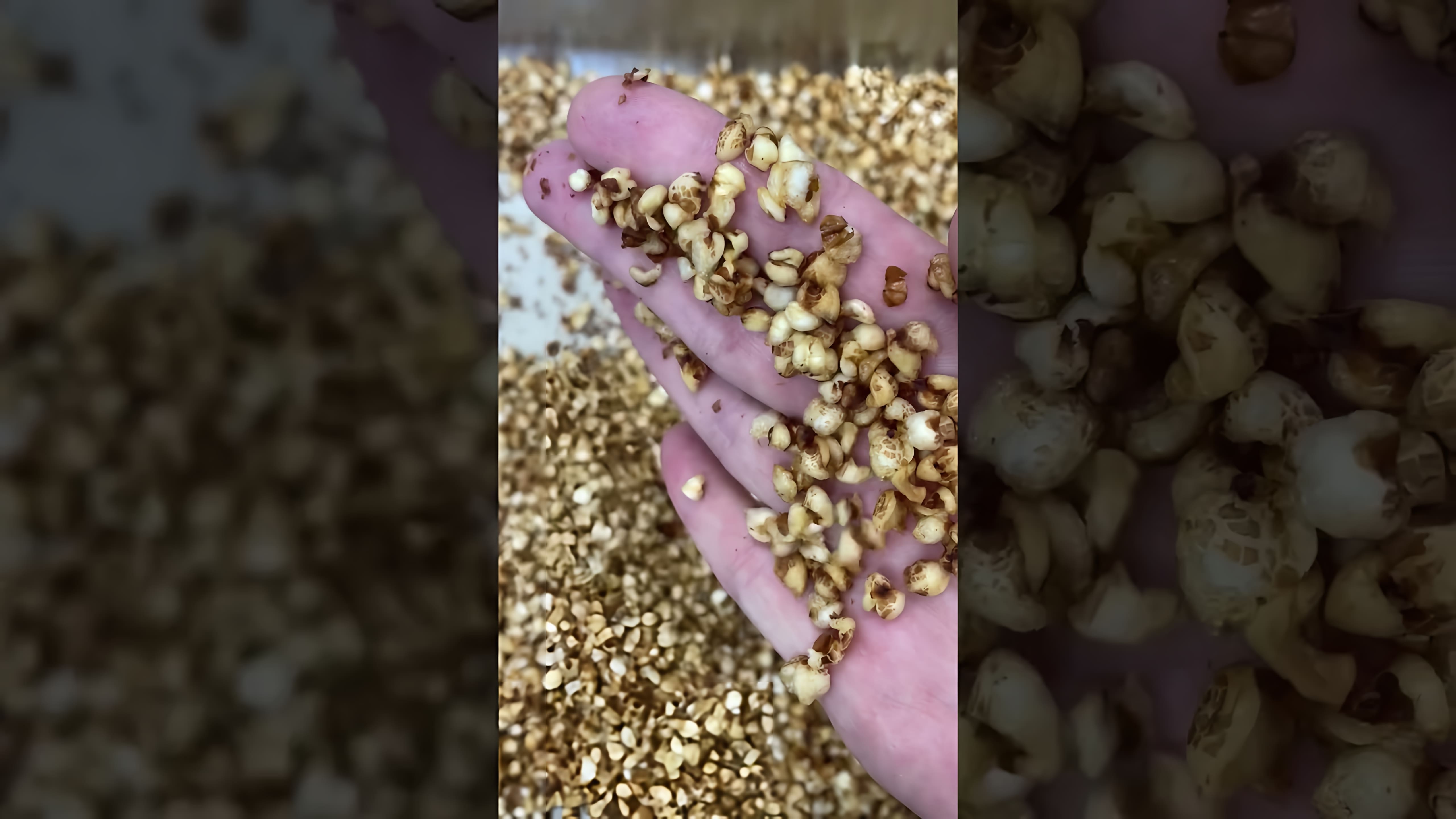 В этом видео-ролике мы узнаем, как приготовить попкорн из гречки